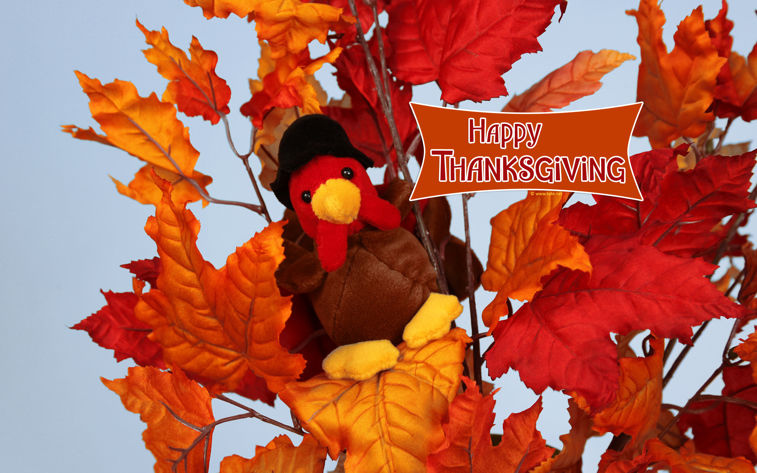 Thanksgiving Wallpaper by Kate.net