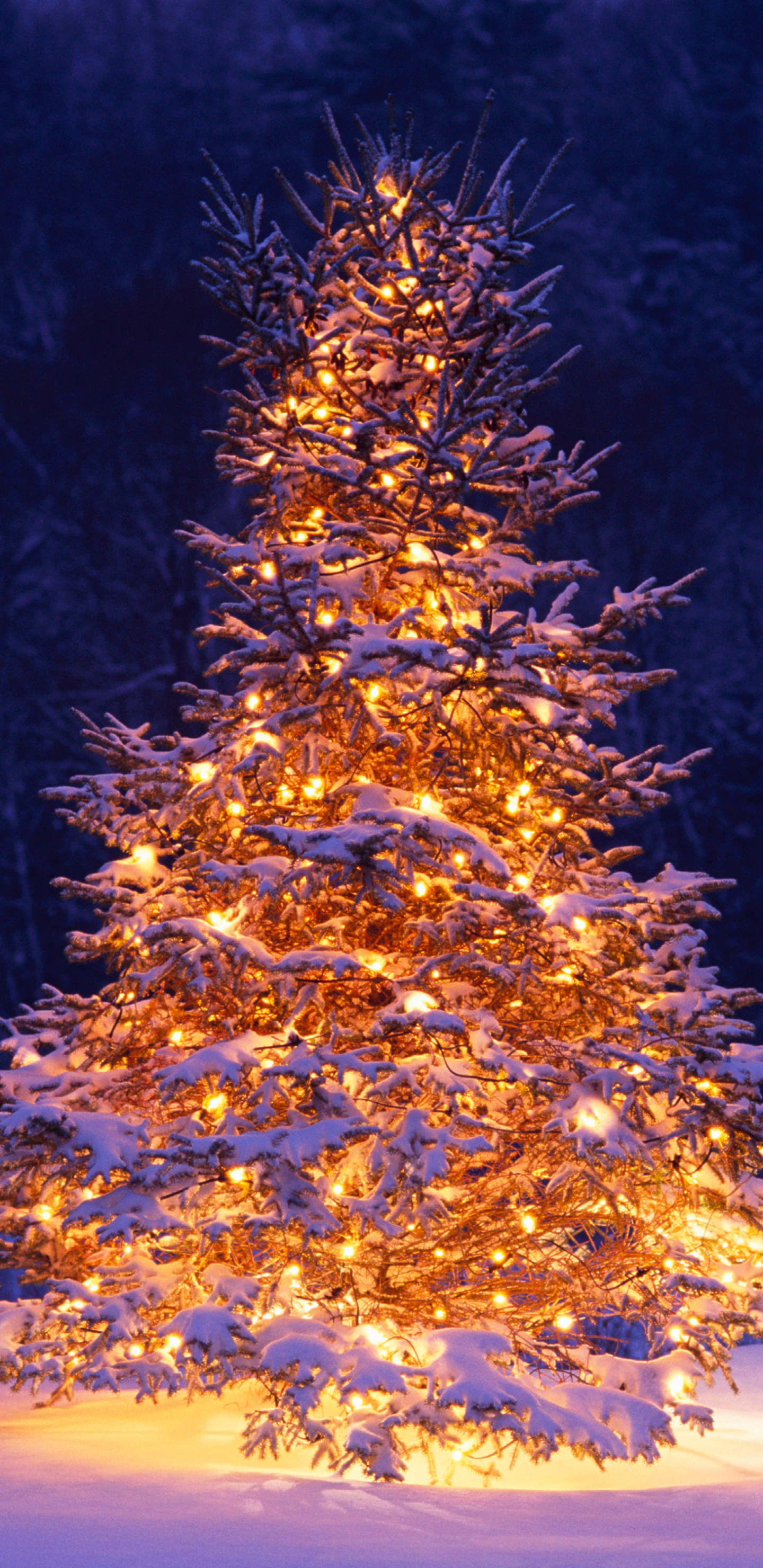 Mobile wallpaper: Winter, Snow, Chair, Tree, Christmas, Holiday, Christmas Tree, Ligths, 1290348 download the picture for free