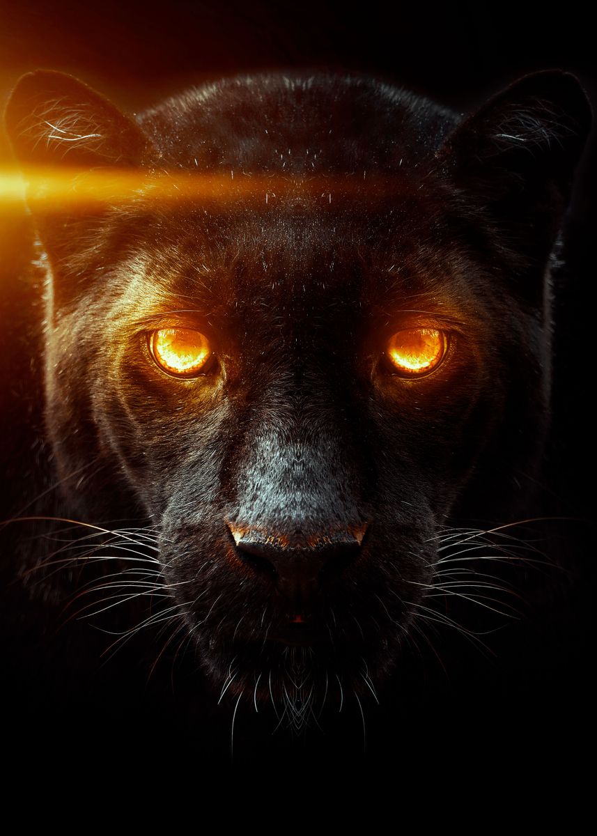 Black panther face red eye' Poster