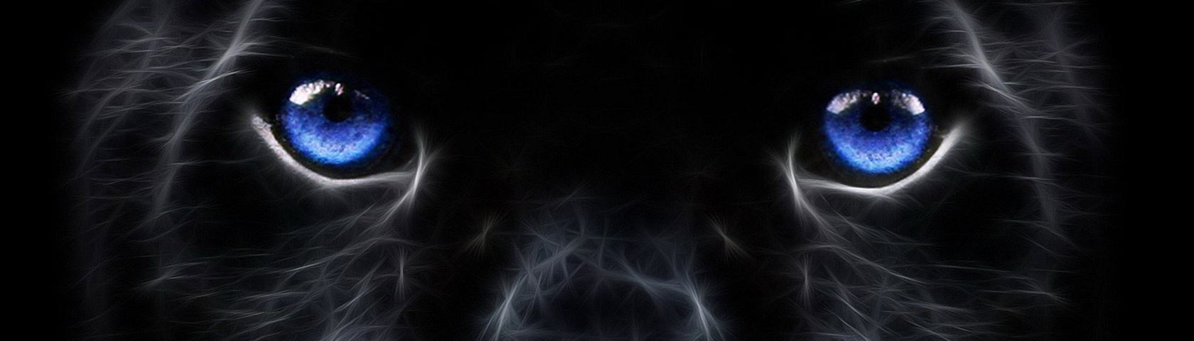 Black Panther • Image • WallpaperFusion by Binary Fortress Software