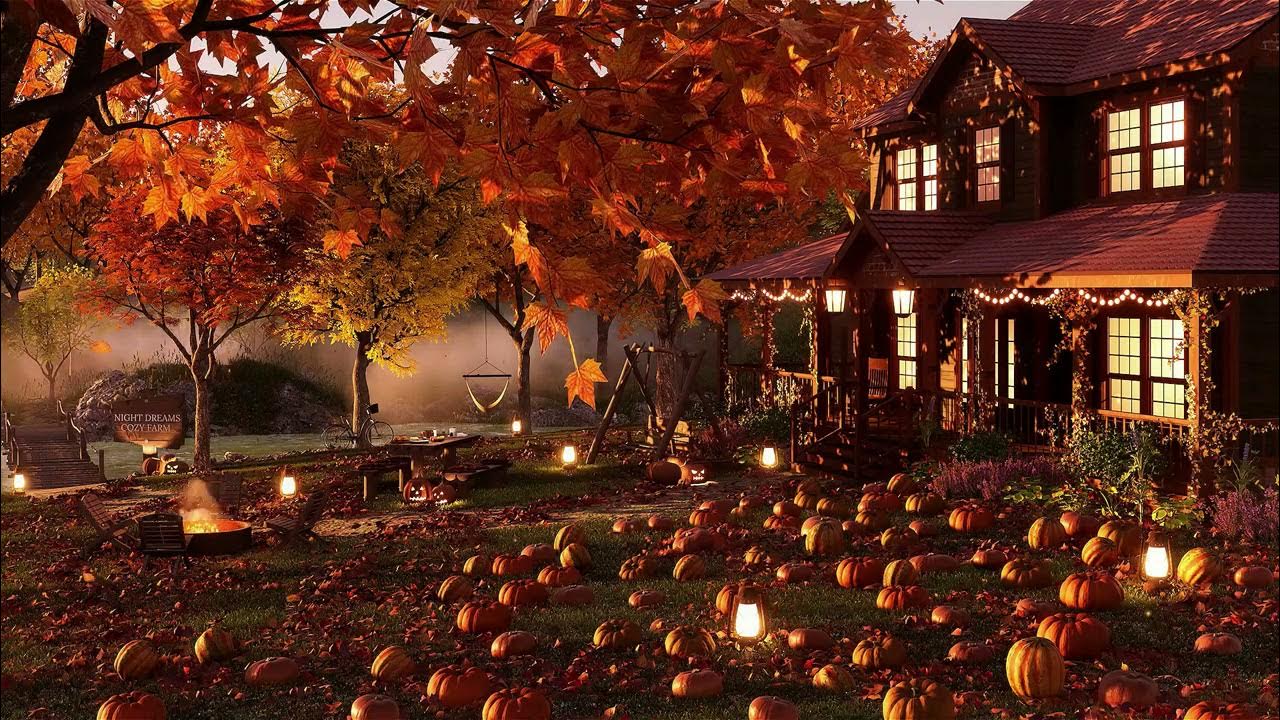 Cozy Pumpkin Patch Ambience