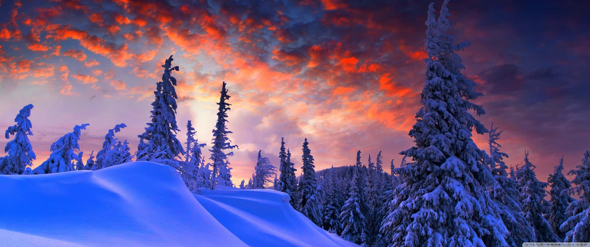Download Explore Nature's Beauty in a 3440x1440 Winter Wonderland Wallpaper
