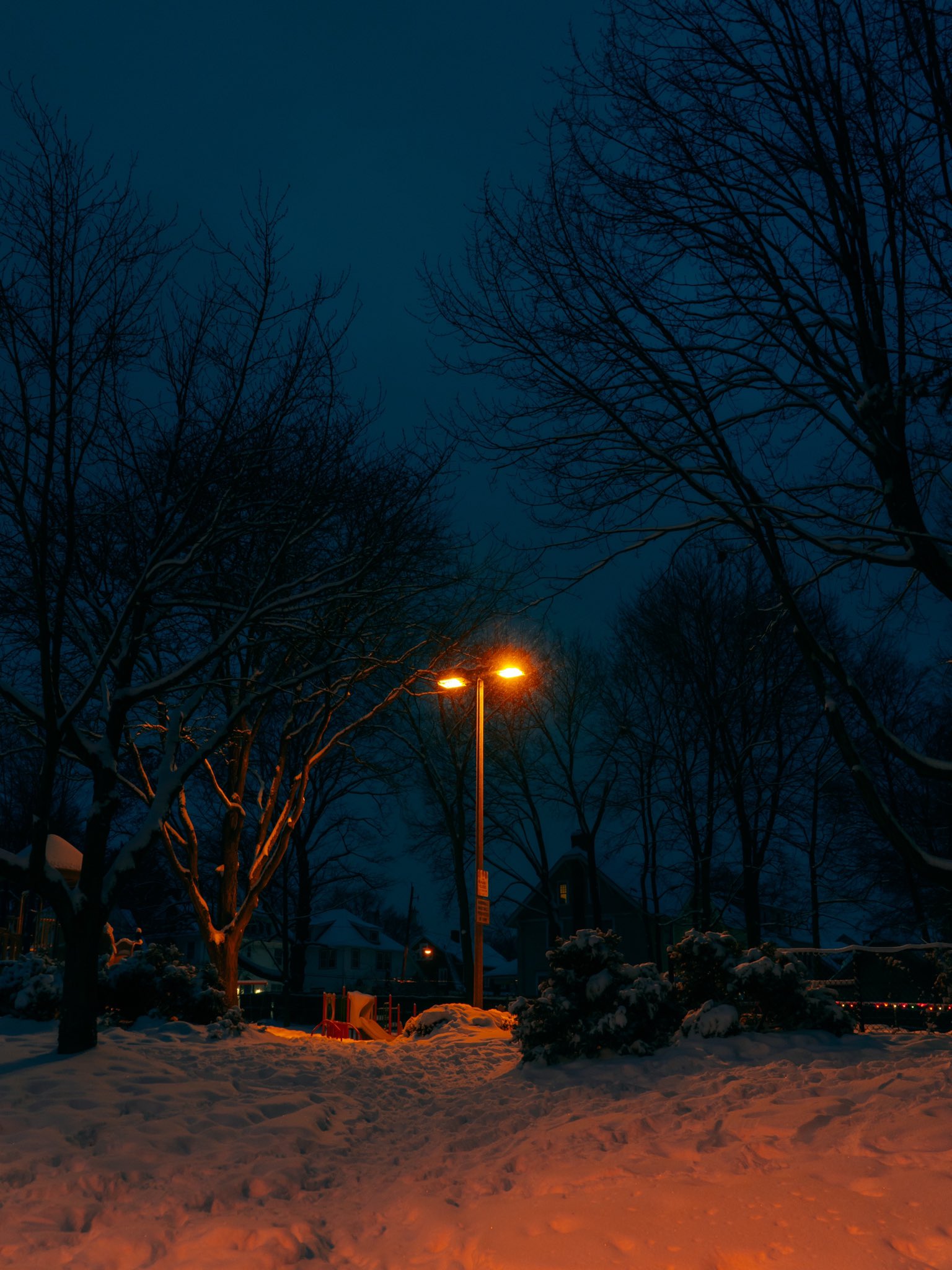 Forest Winter Lights Street Light Trees Vertical Snow Wallpaper:1536x2048