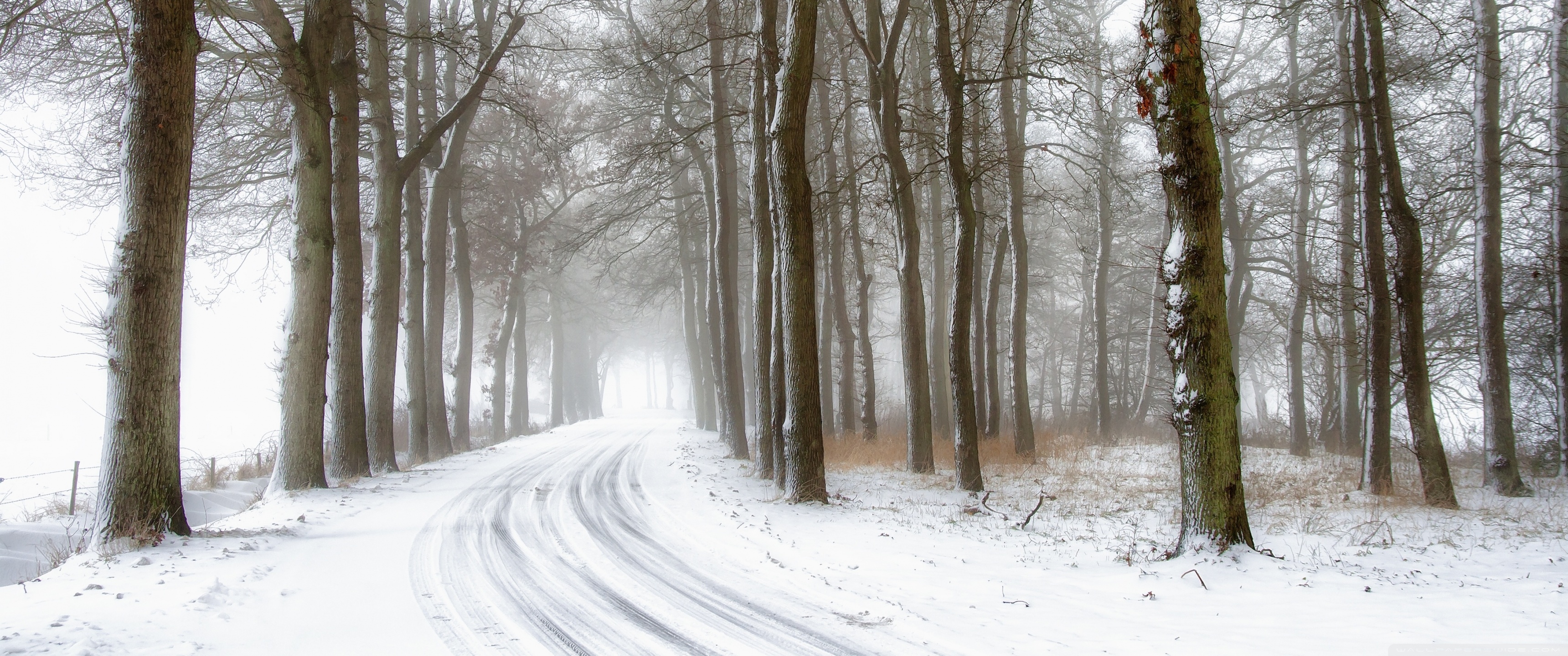 Snowy Road and Trees, Winter Ultra HD Desktop Background Wallpaper for 4K UHD TV, Widescreen & UltraWide Desktop & Laptop, Multi Display, Dual & Triple Monitor, Tablet