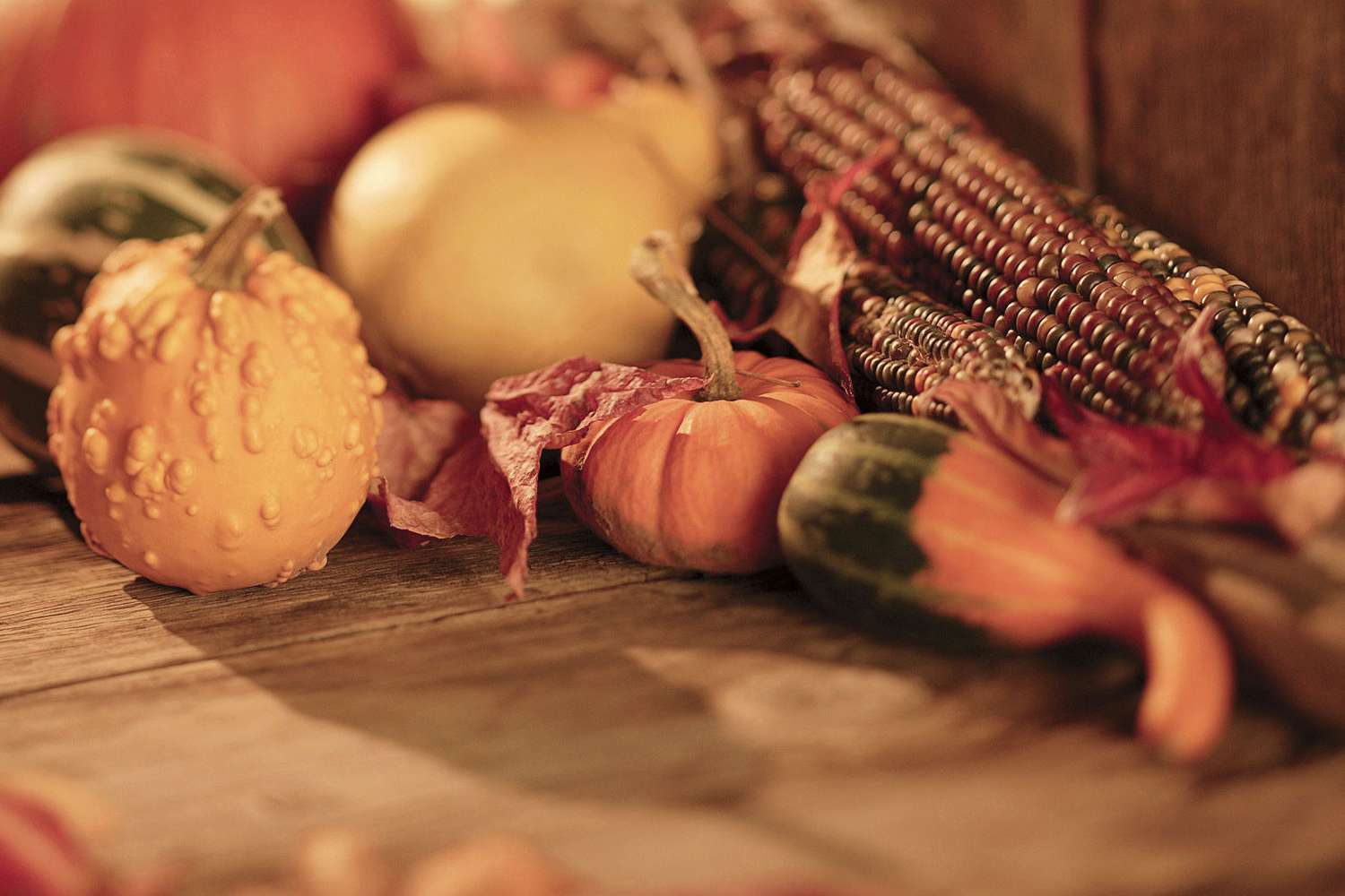 Best Thanksgiving Wallpaper