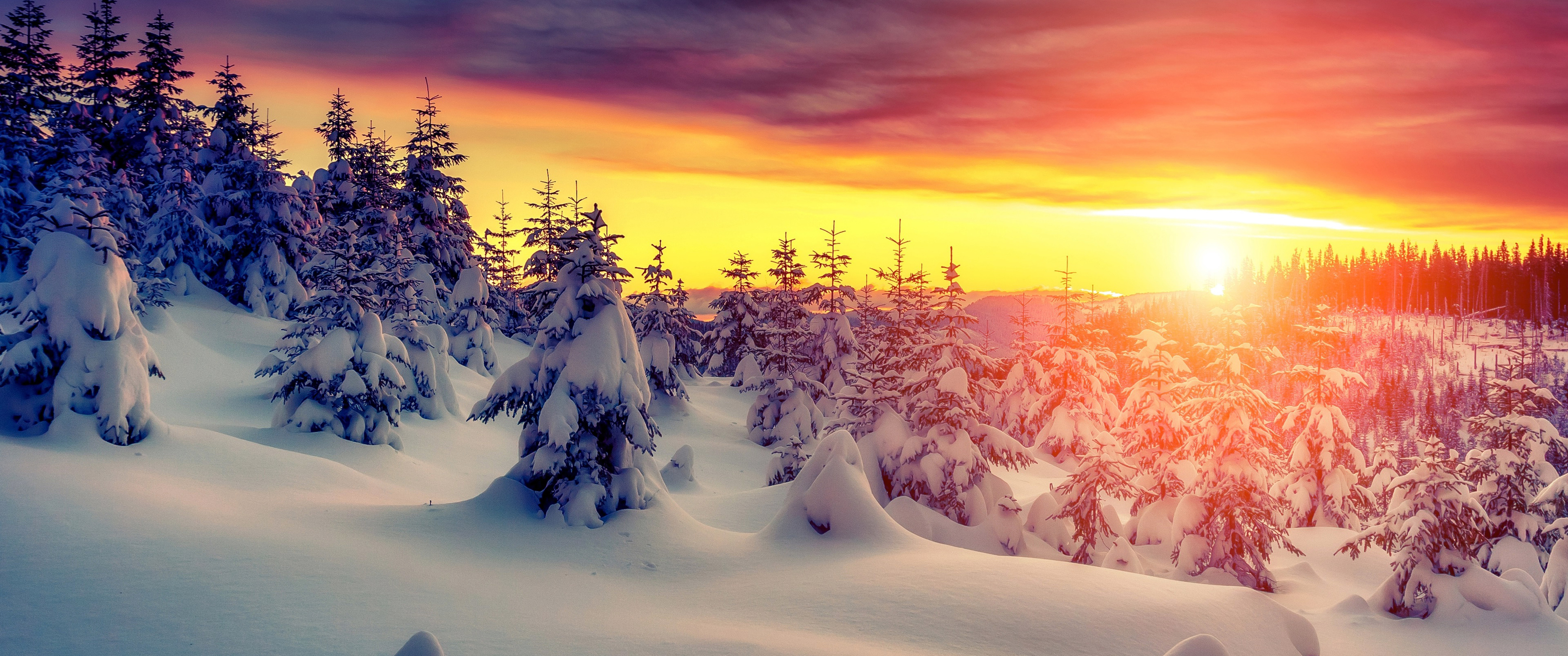 Download Sunset over the winter forest, Sunset, Winter, Forest, Winter, Snow, Trees Wallpaper in 3440x1440 Resolution