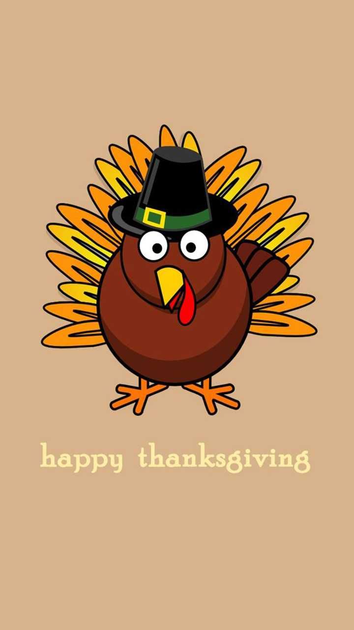 Cute Turkey Wallpaper