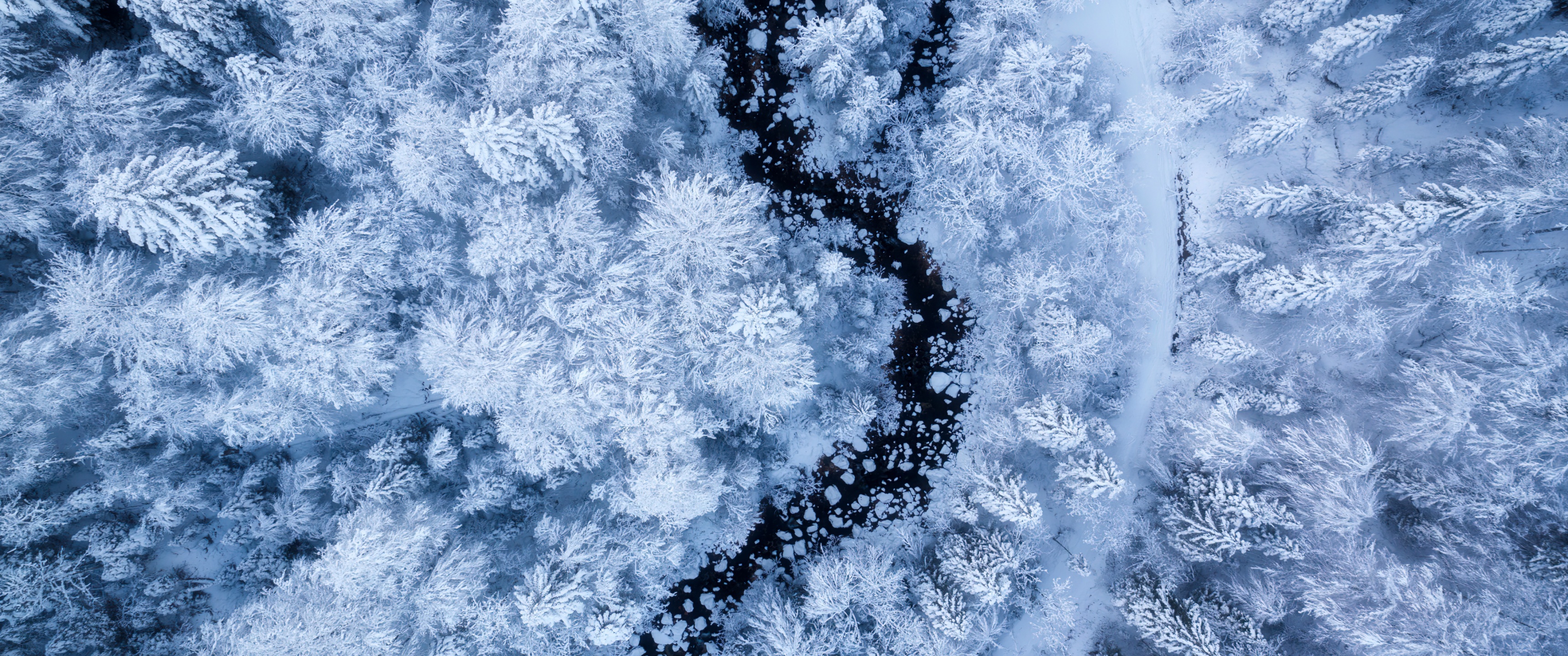 Snow covered winter forest aerial view aesthetic 4K wallpaper