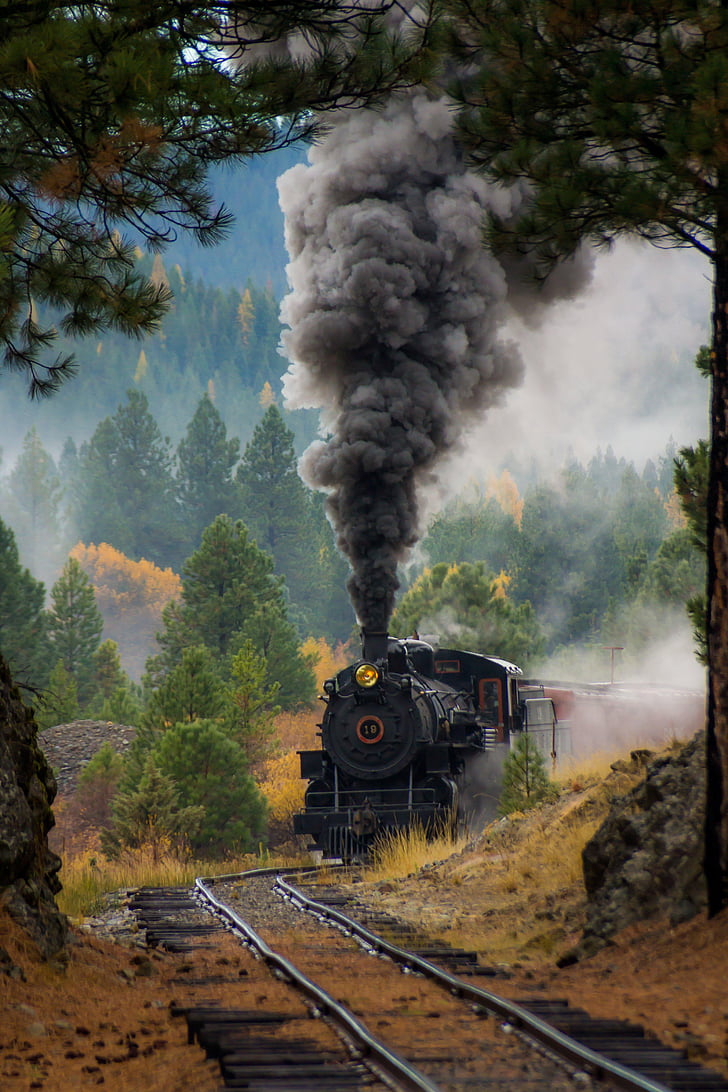 Royalty Free Photo: Black Train Surrounded
