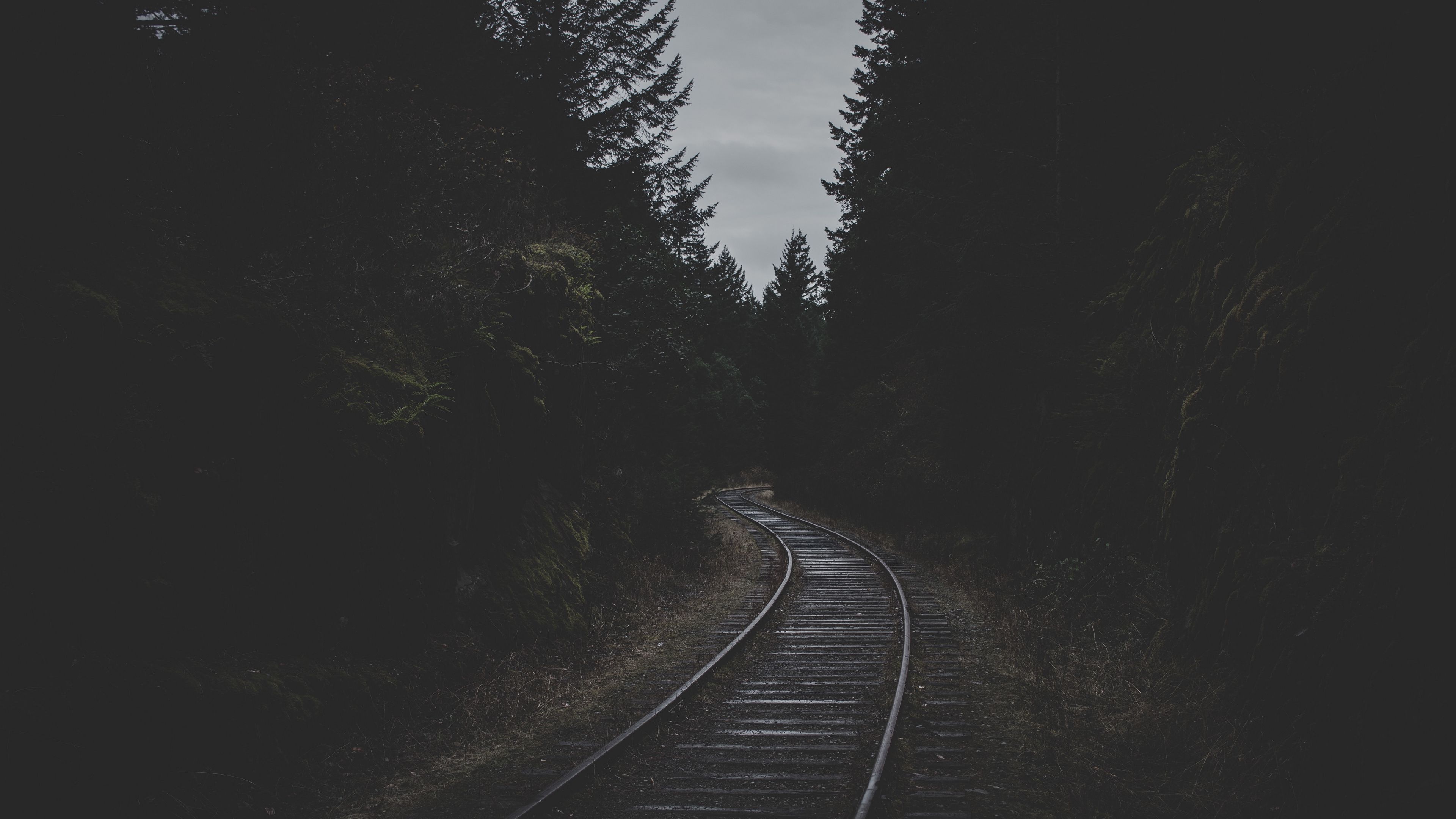 Download wallpaper 3840x2160 rails, railroad, dark, trees, dusk 4k uhd 16:9 HD background