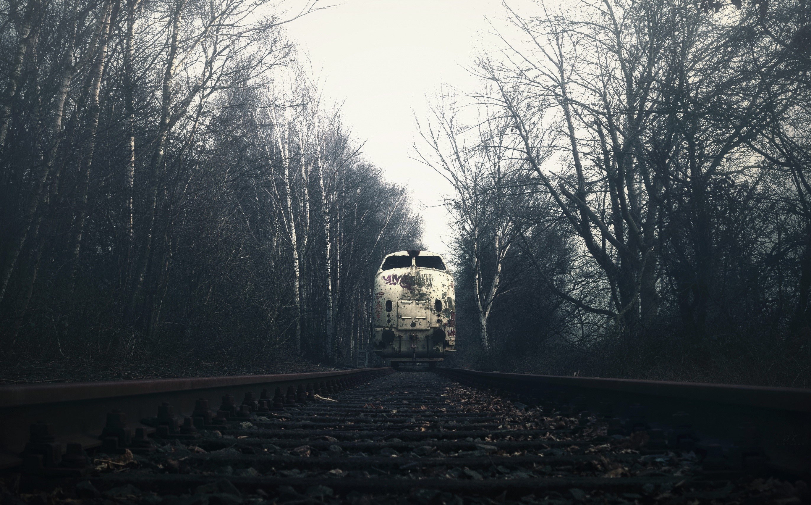 Wallpaper / dark, trees, railway, train, vehicle, birch, fall, overcast, wreck Wallpaper
