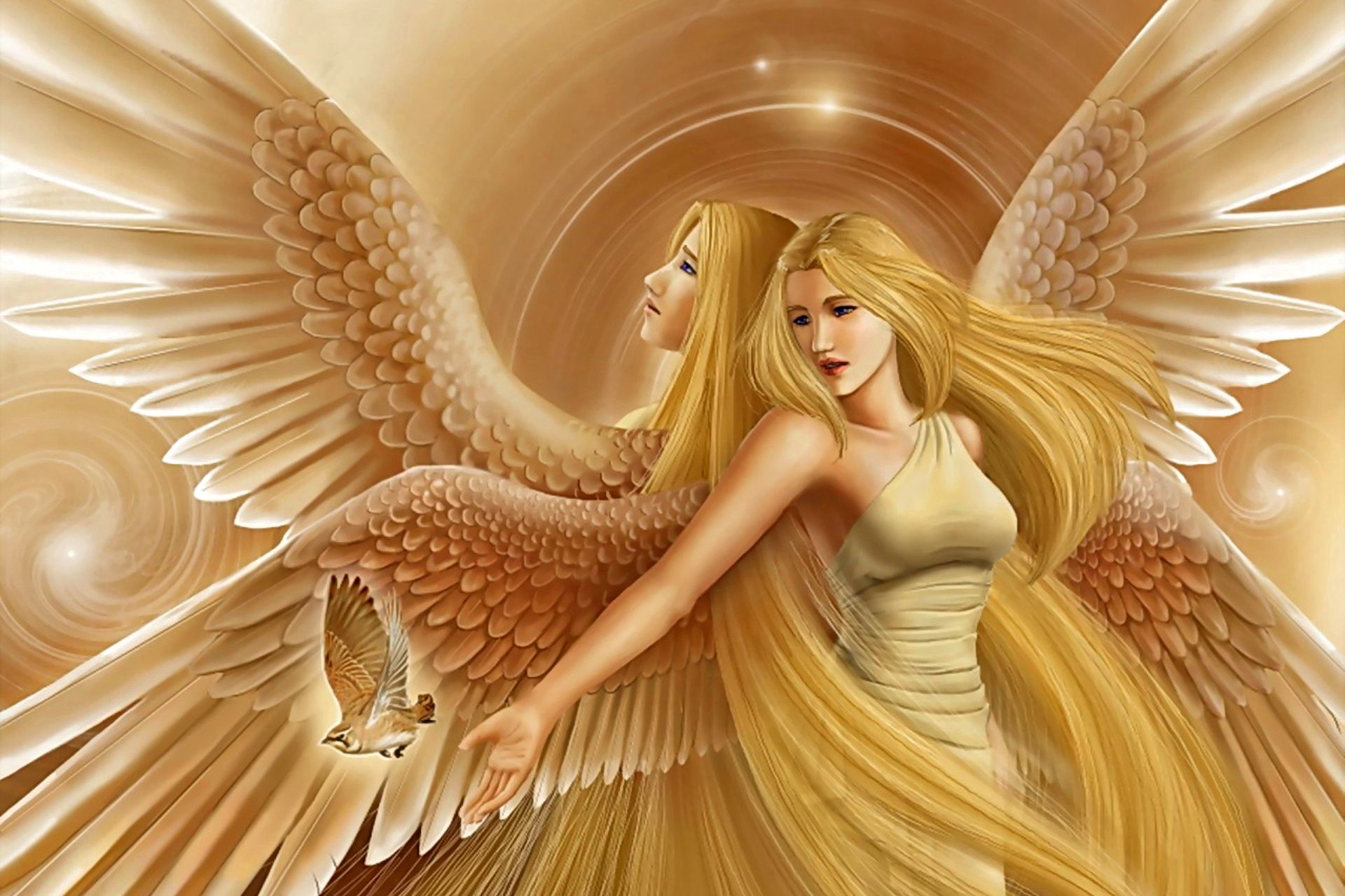Fantasy Photo: Angels. Angel wallpaper, Angel, Two blondes