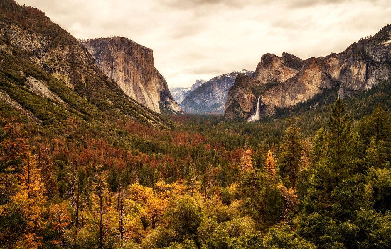 Download Yosemite National Park Autumn Colors Wallpaper