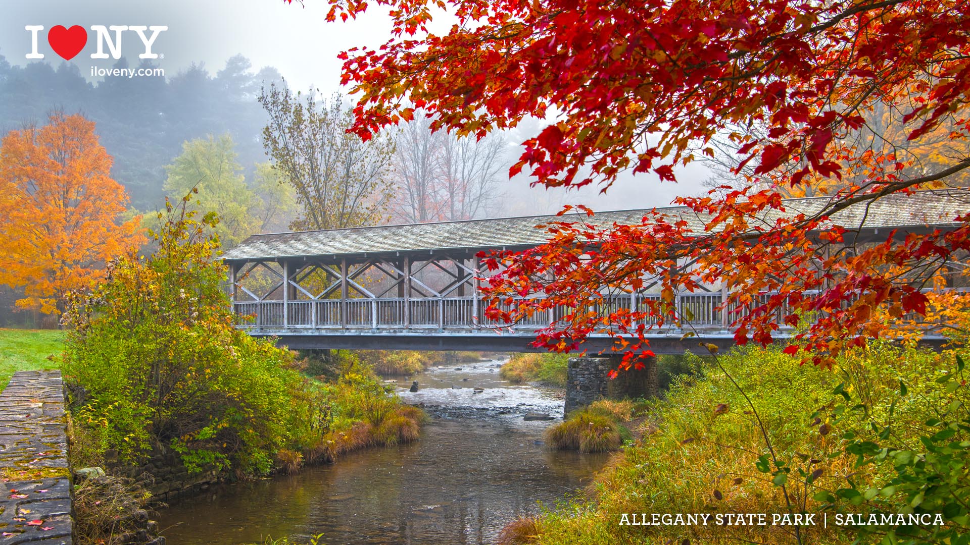 New York State in the fall