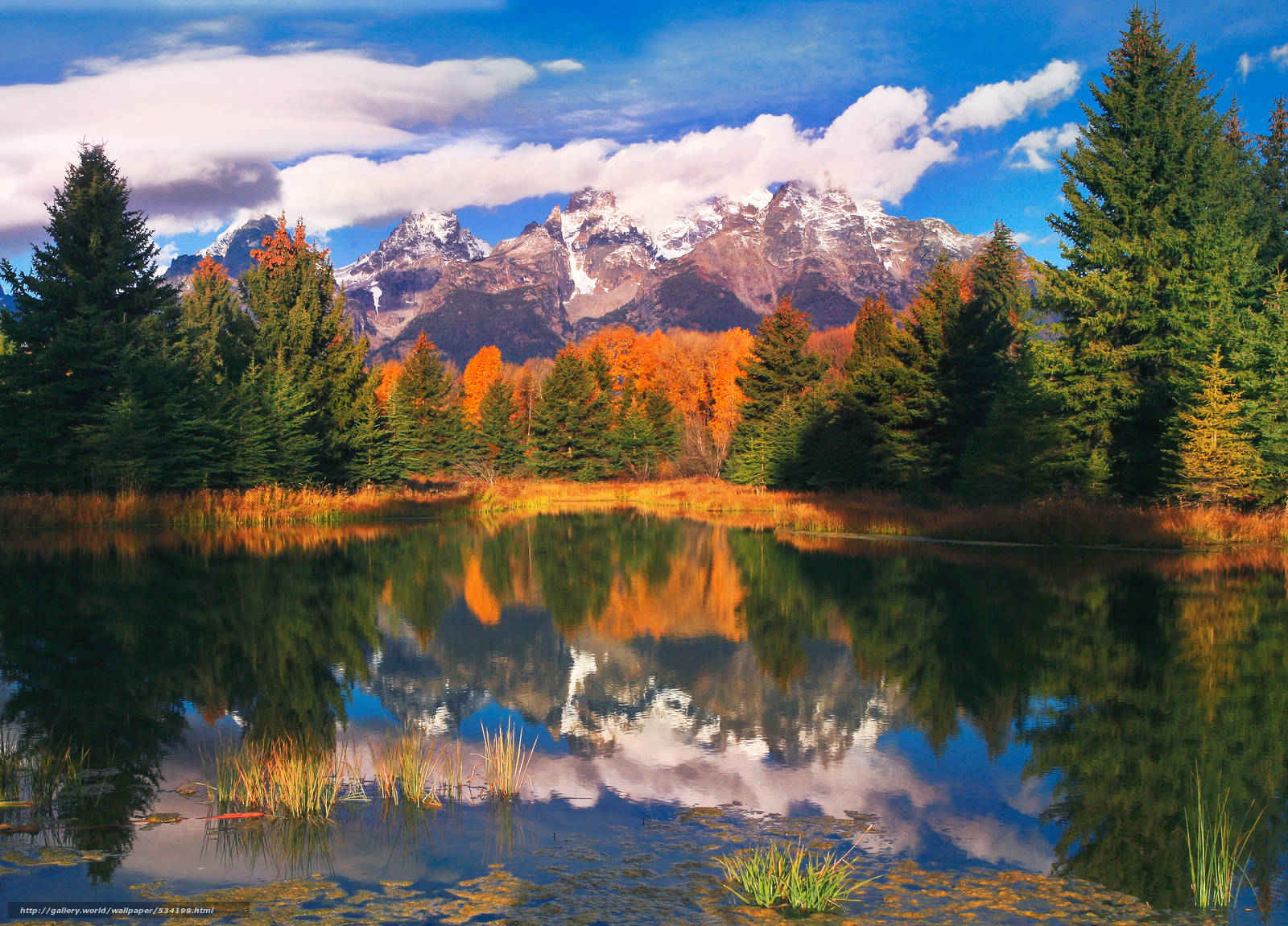 Download Grand Teton National Park Autumn Day Wallpaper