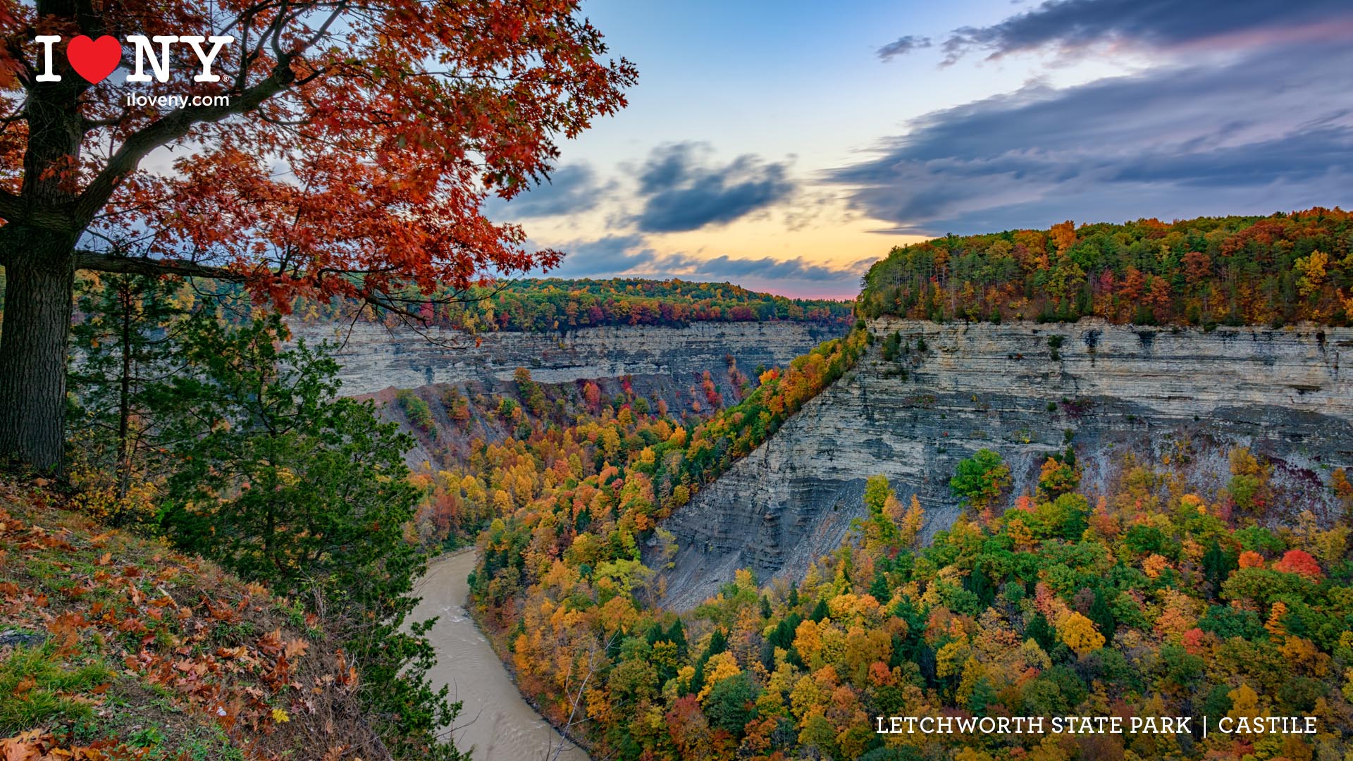 Video conferencing background featuring New York State in the fall