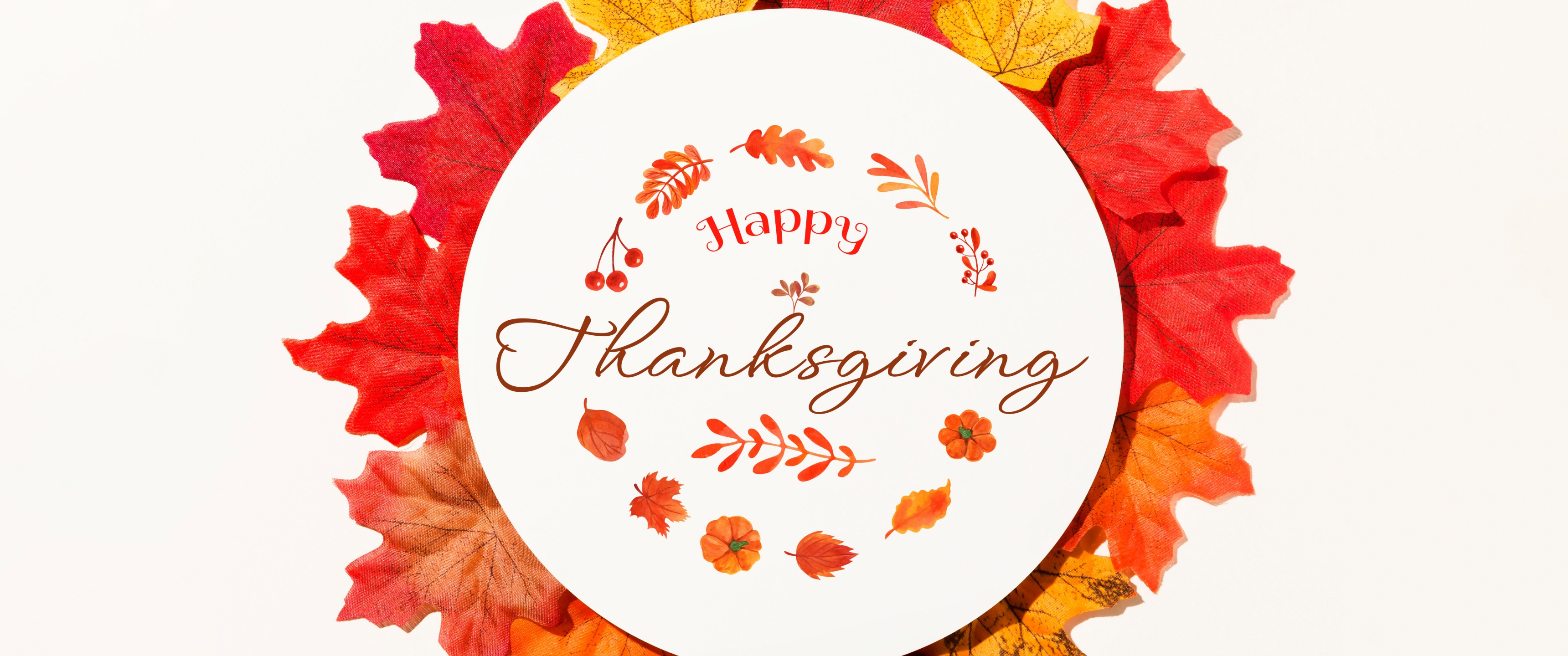 Happy Thanksgiving Wallpaper 4K, Fall, Thanksgiving Day