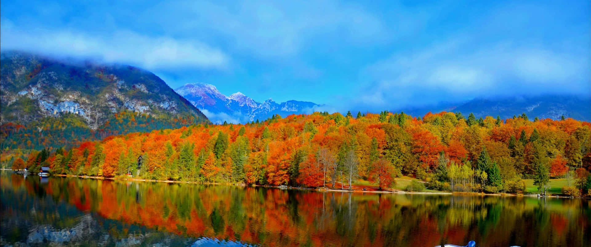 Download Fall in Full Brilliance Wallpaper