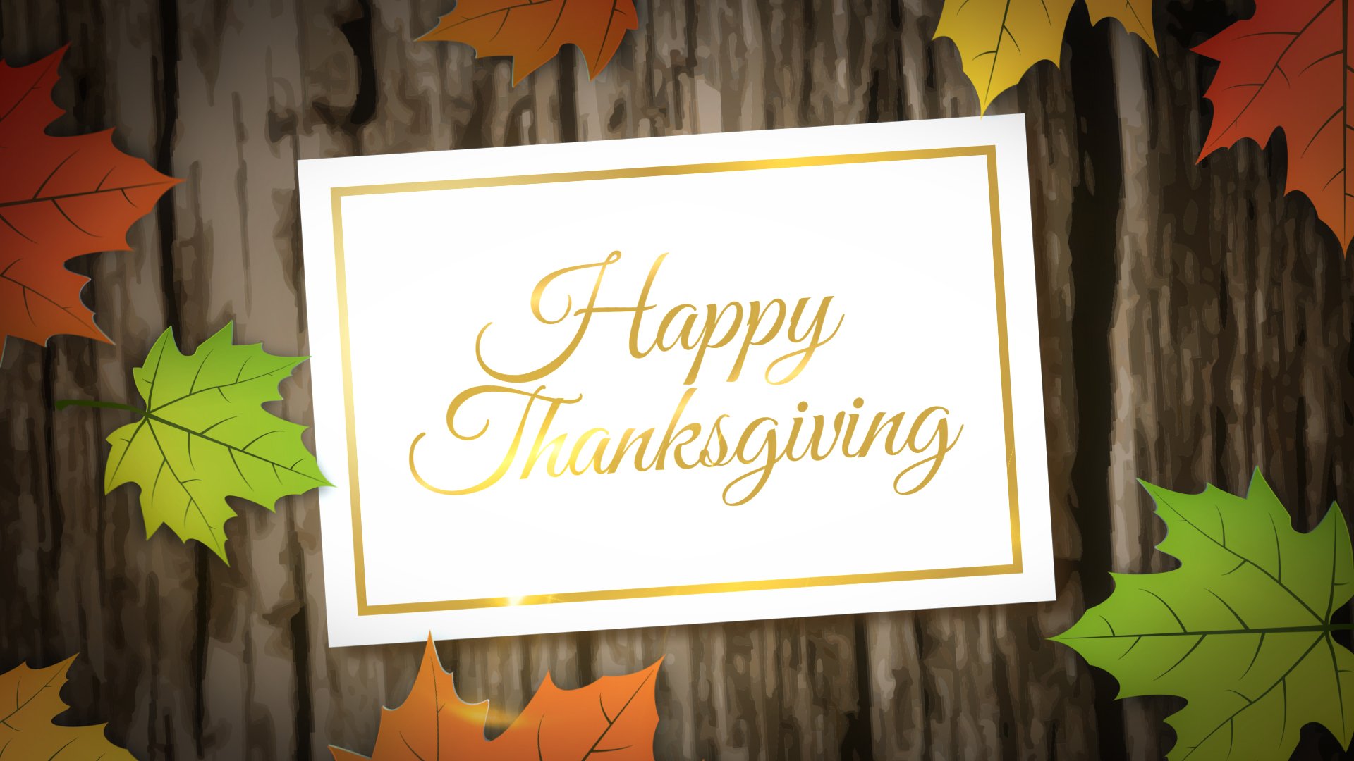 Free Thanksgiving Vector Graphics, After Effects & Video Background
