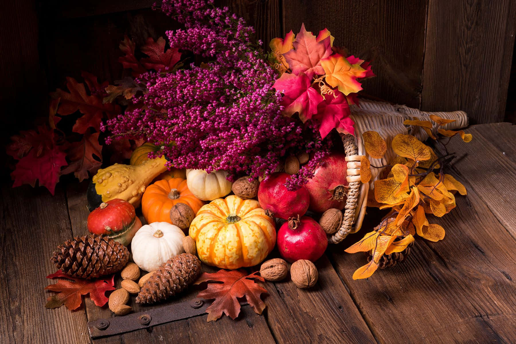 Download Fall Cornucopia Bounty of Harvest Wallpaper