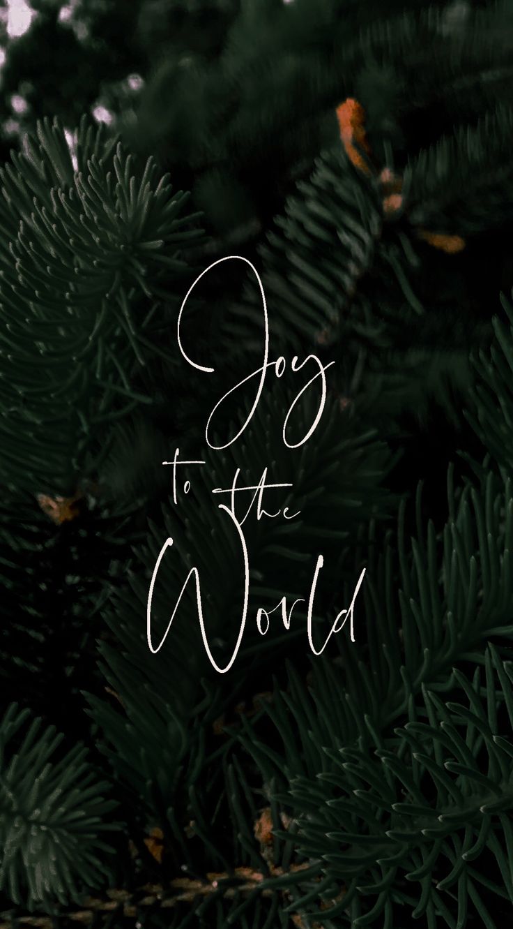 Joy To The World. World wallpaper, Joy to the world, Christmas wallpaper