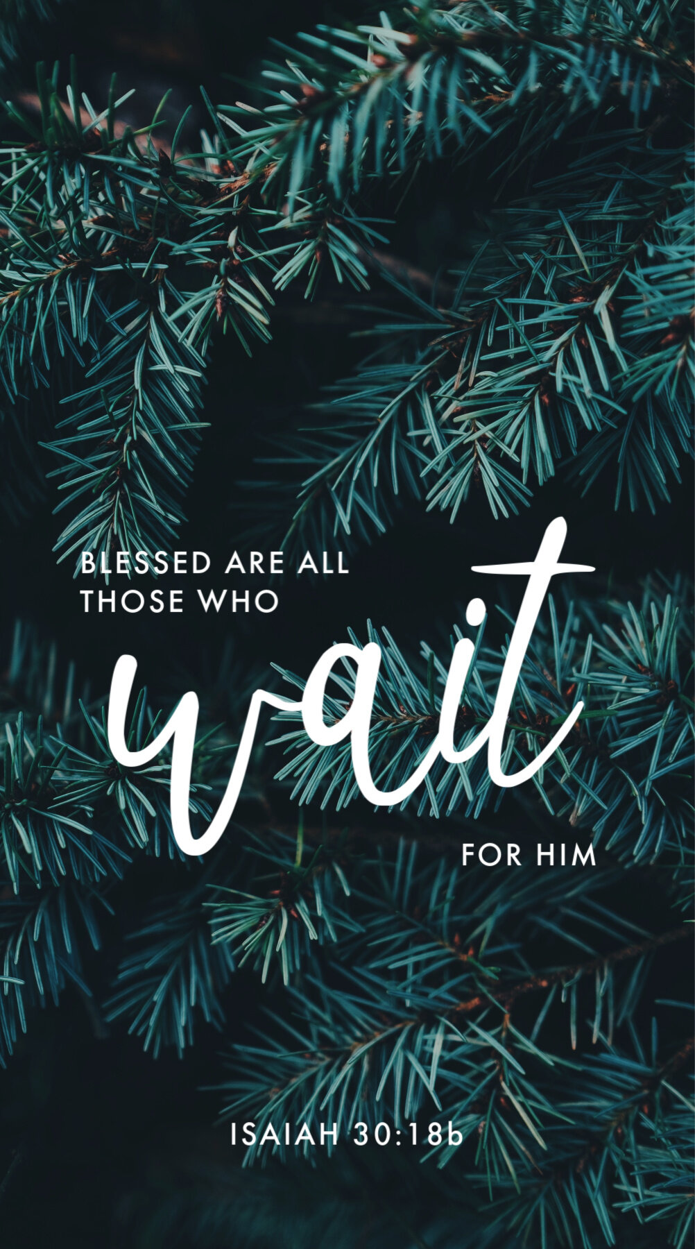 Christmas Scripture Phone Background
