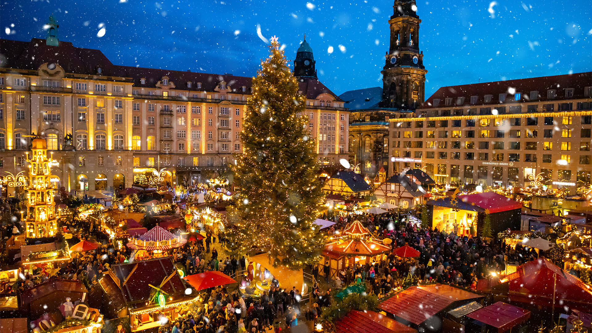 Unique and Magical Christmas Markets To Explore This Year Business News