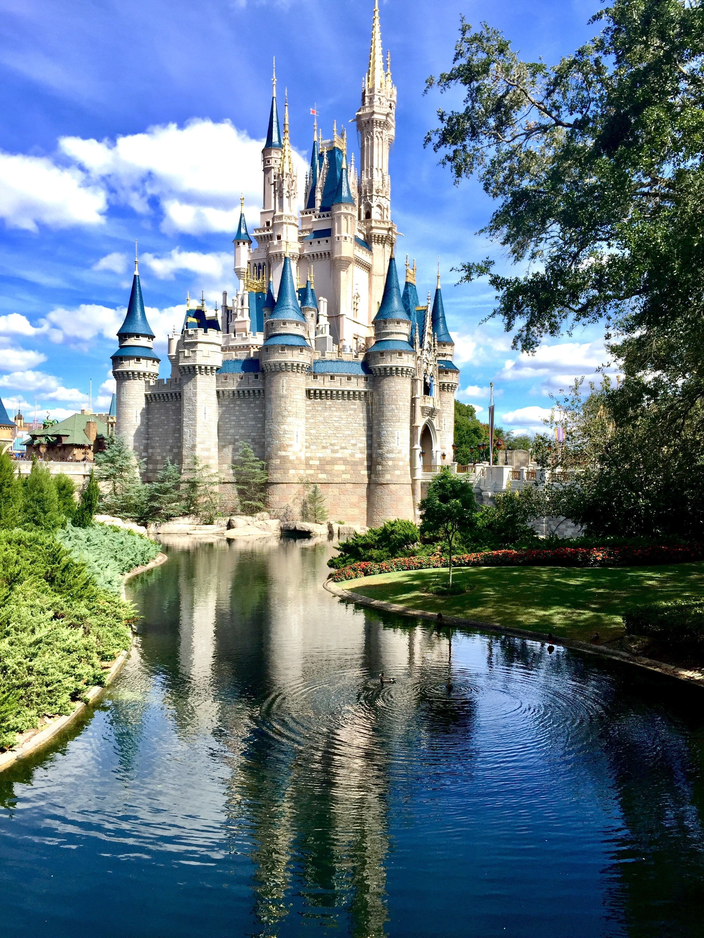 disney castle 4k Phone HD Wallpaper