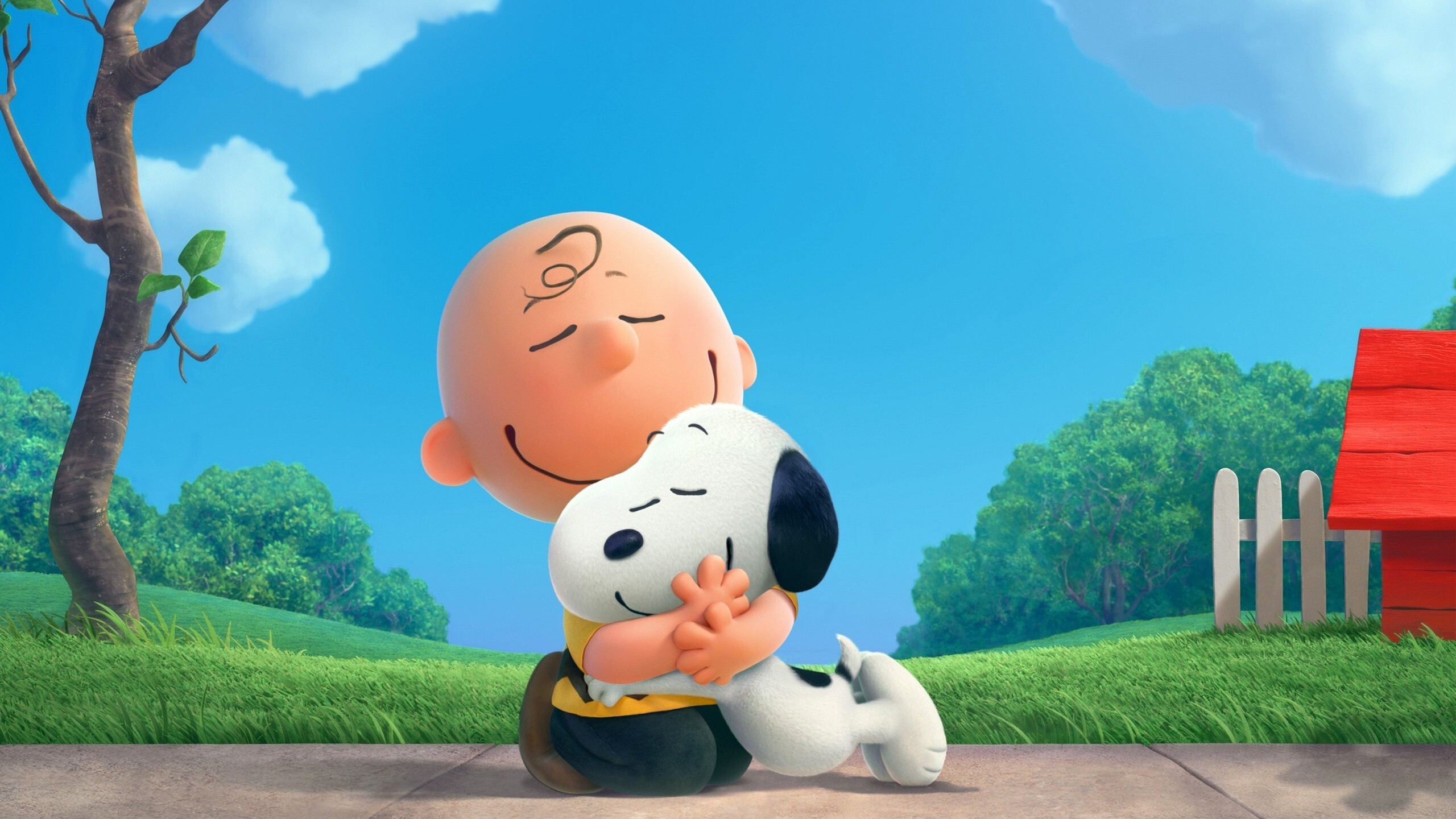 The Peanuts Charlie Brown Snoppy 1440P Resolution HD 4k Wallpaper, Image, Background, Photo and Picture