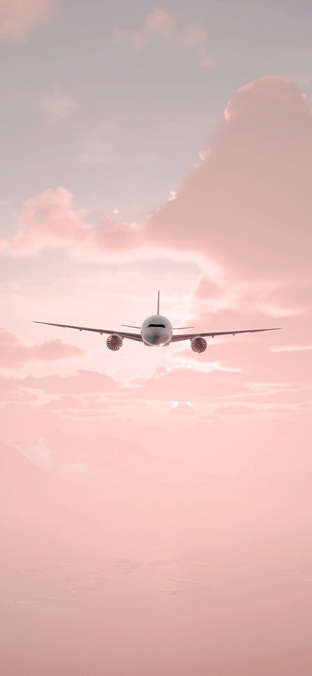 Plane Flying In A Beautiful Sky 4K phone wallpaper [2610x5655] and [1080x2340]