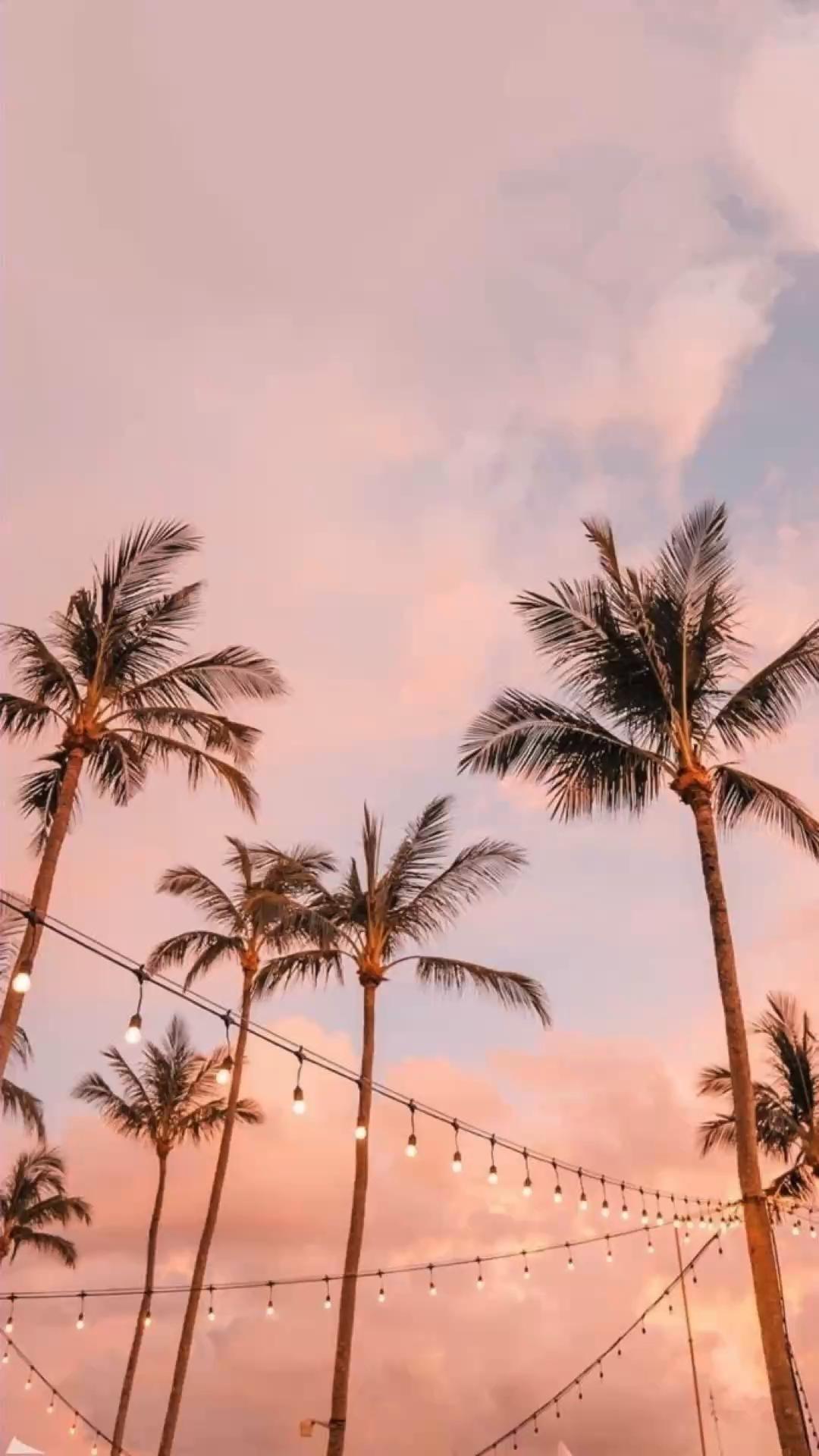 Summer Aesthetic Preppy Free 4K Wallpaper