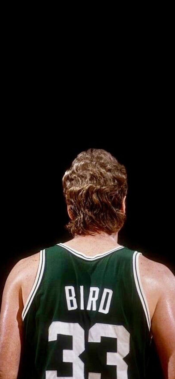 Larry Bird wallpaper. Larry bird, Larry, Basketball history