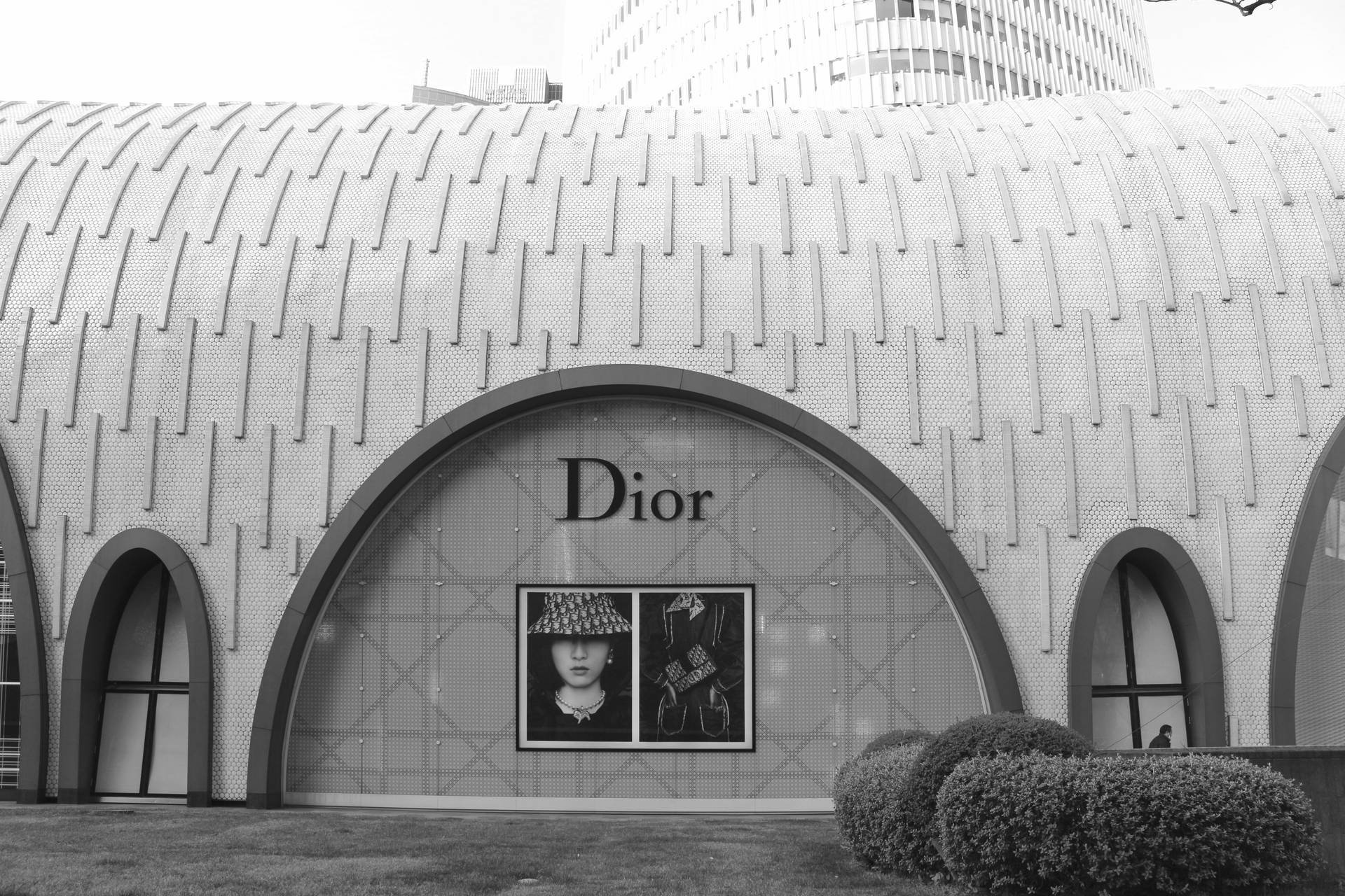 Dior Picture