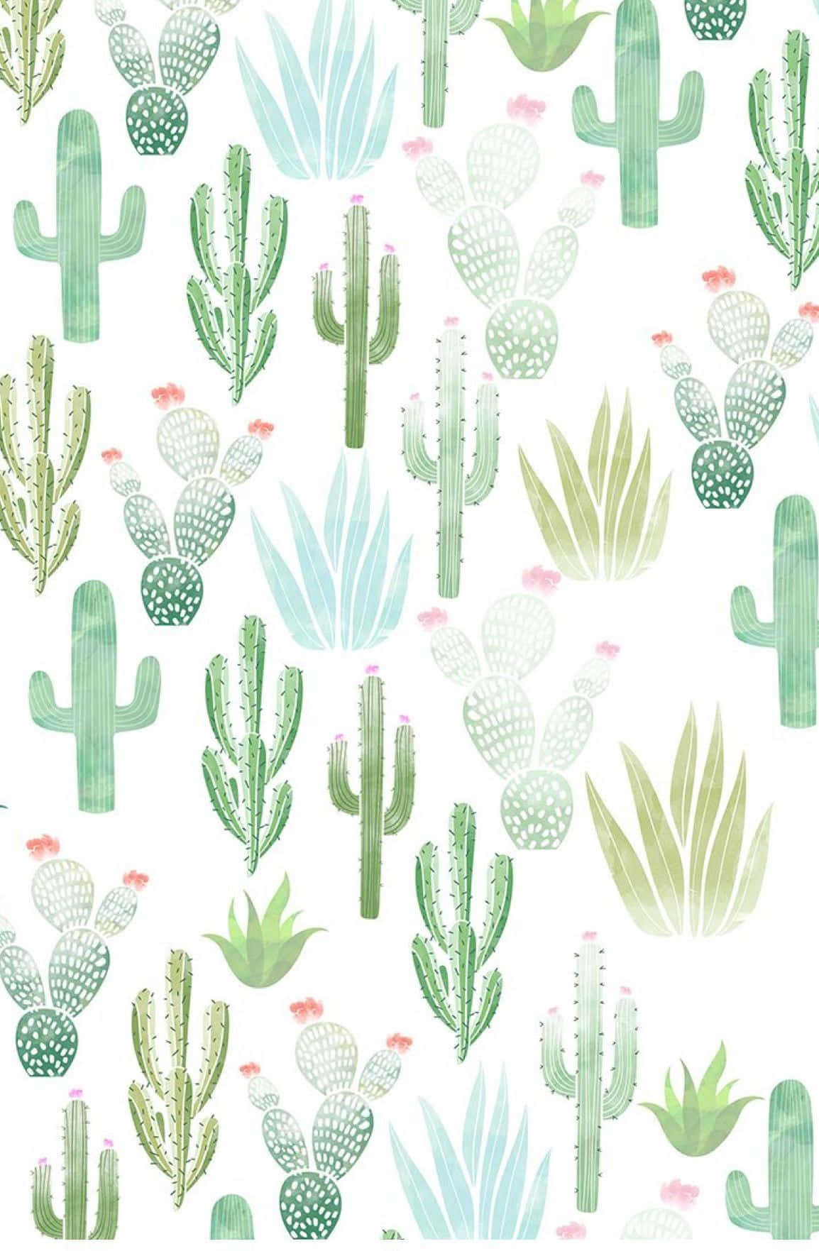 Download Embrace the Desert with a Cactus iPhone Wallpaper