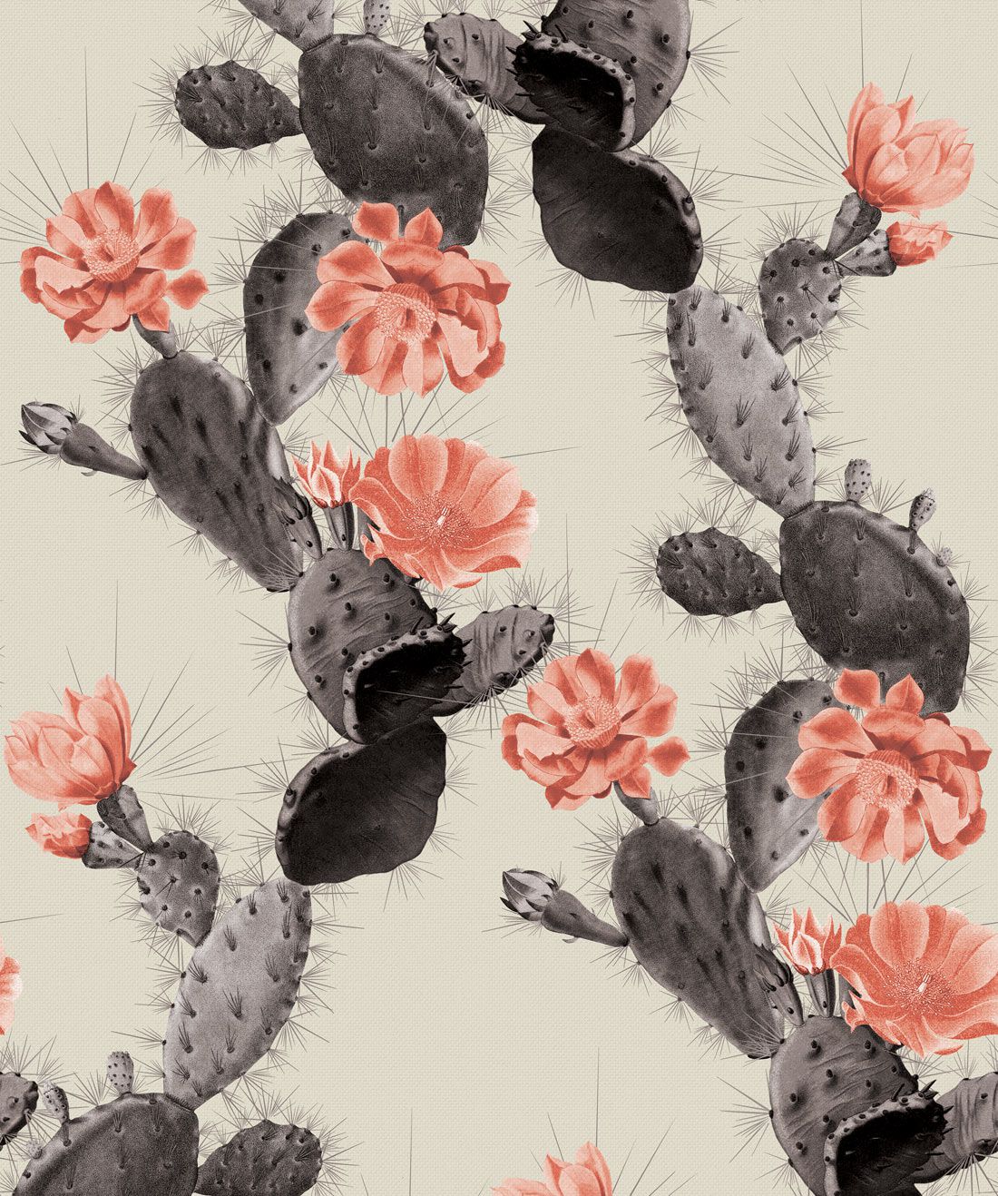 Cactus Wallpaper • Bold Alluring Cacti