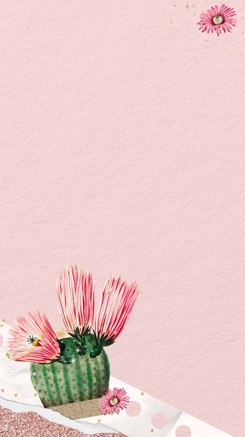 Cactus Wallpaper Phone Wallpaper