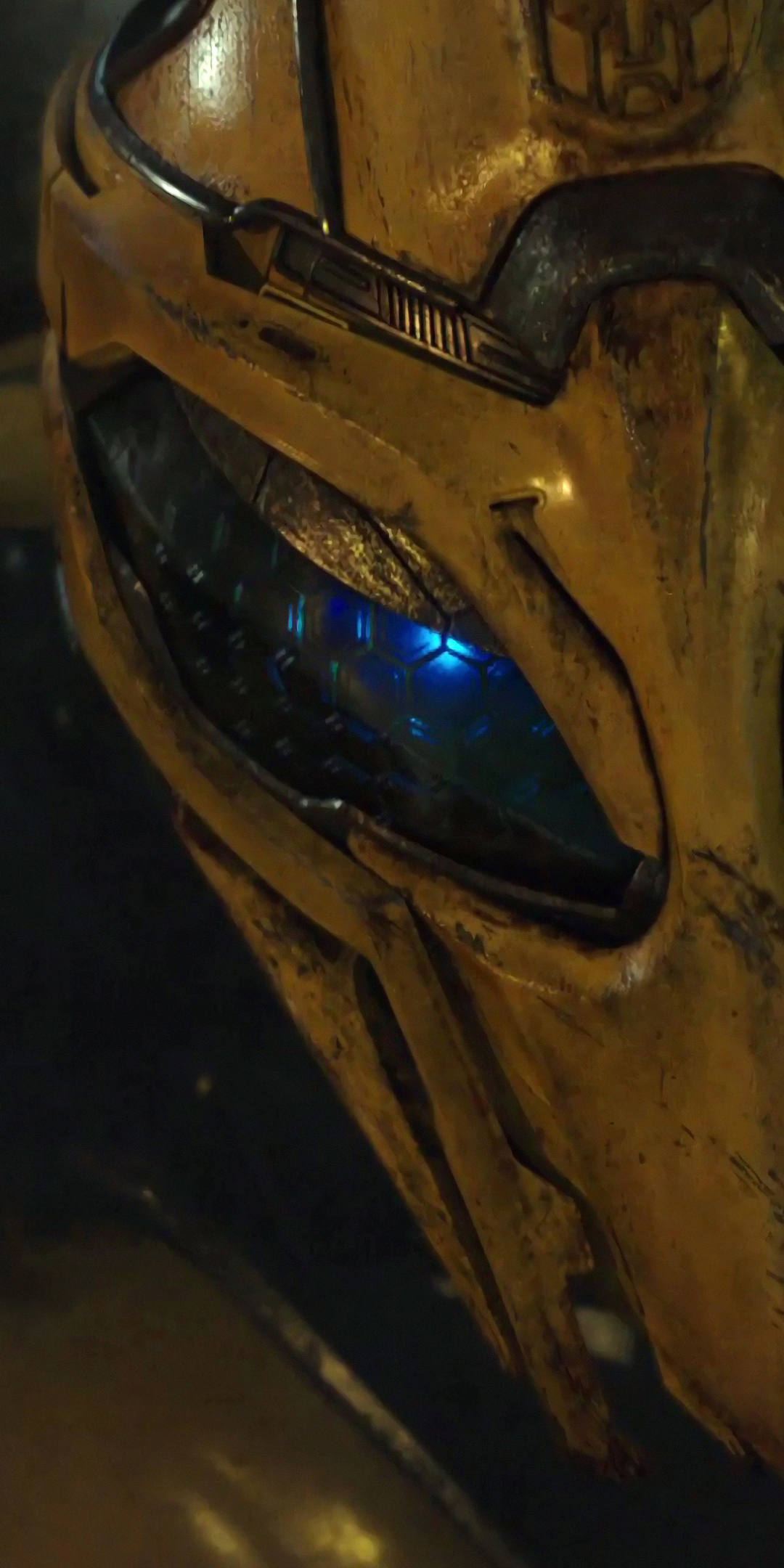 Bumblebee Phone Wallpaper