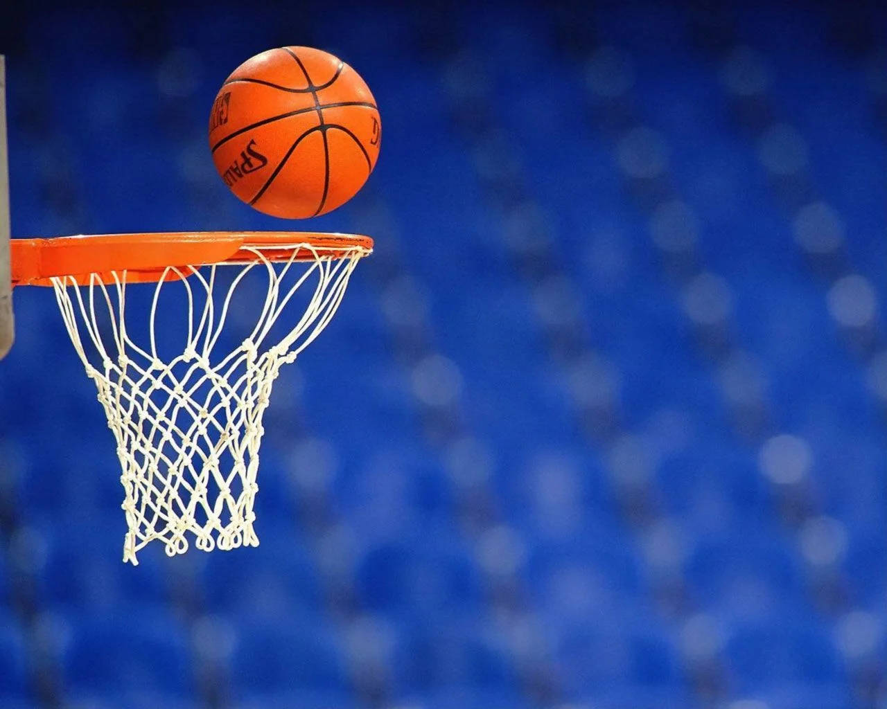 Download HD Basketball Ball And Ring Wallpaper
