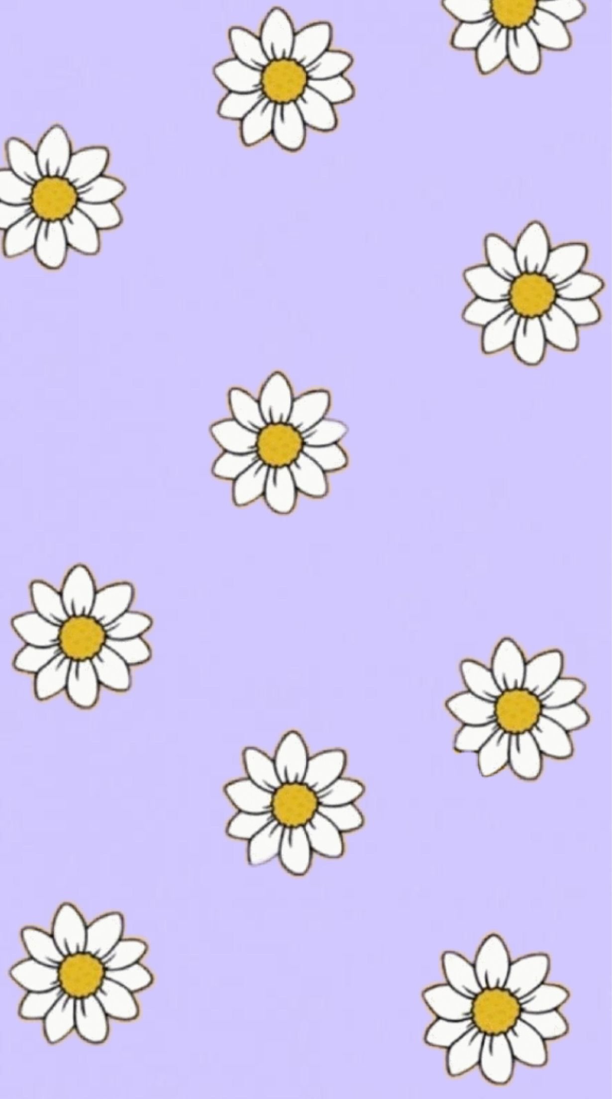 Cute daisy Wallpaper Download