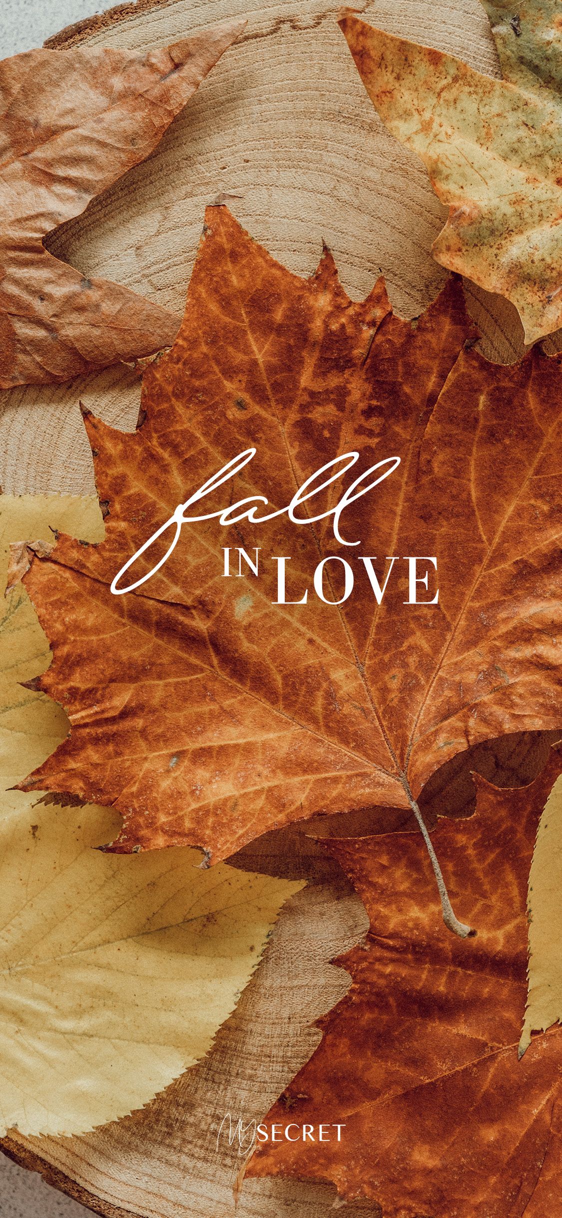 2022 October Free Wallpaper