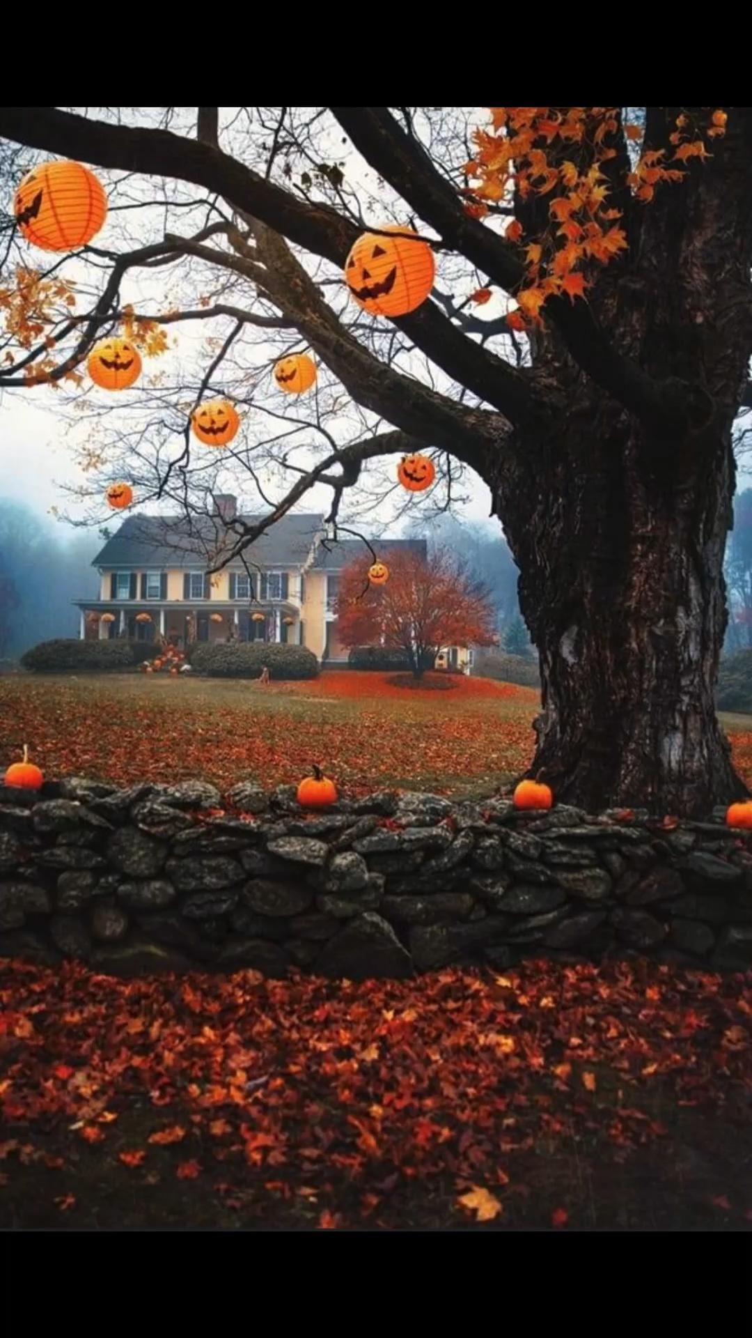 This time of year