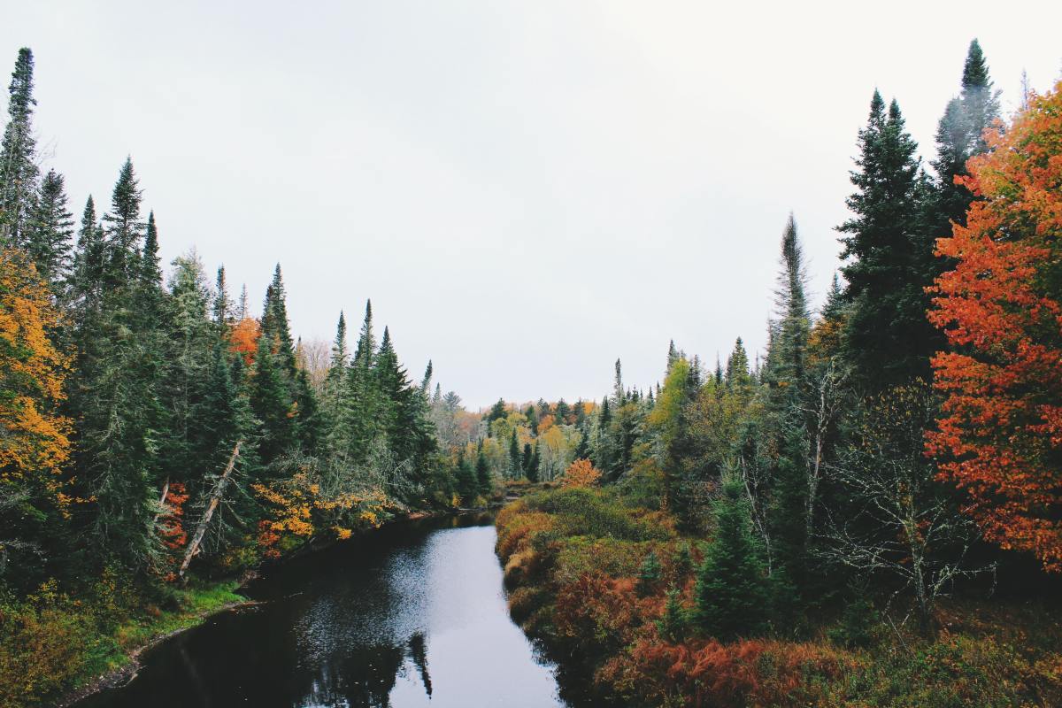 Beautiful Fall Picture and Image