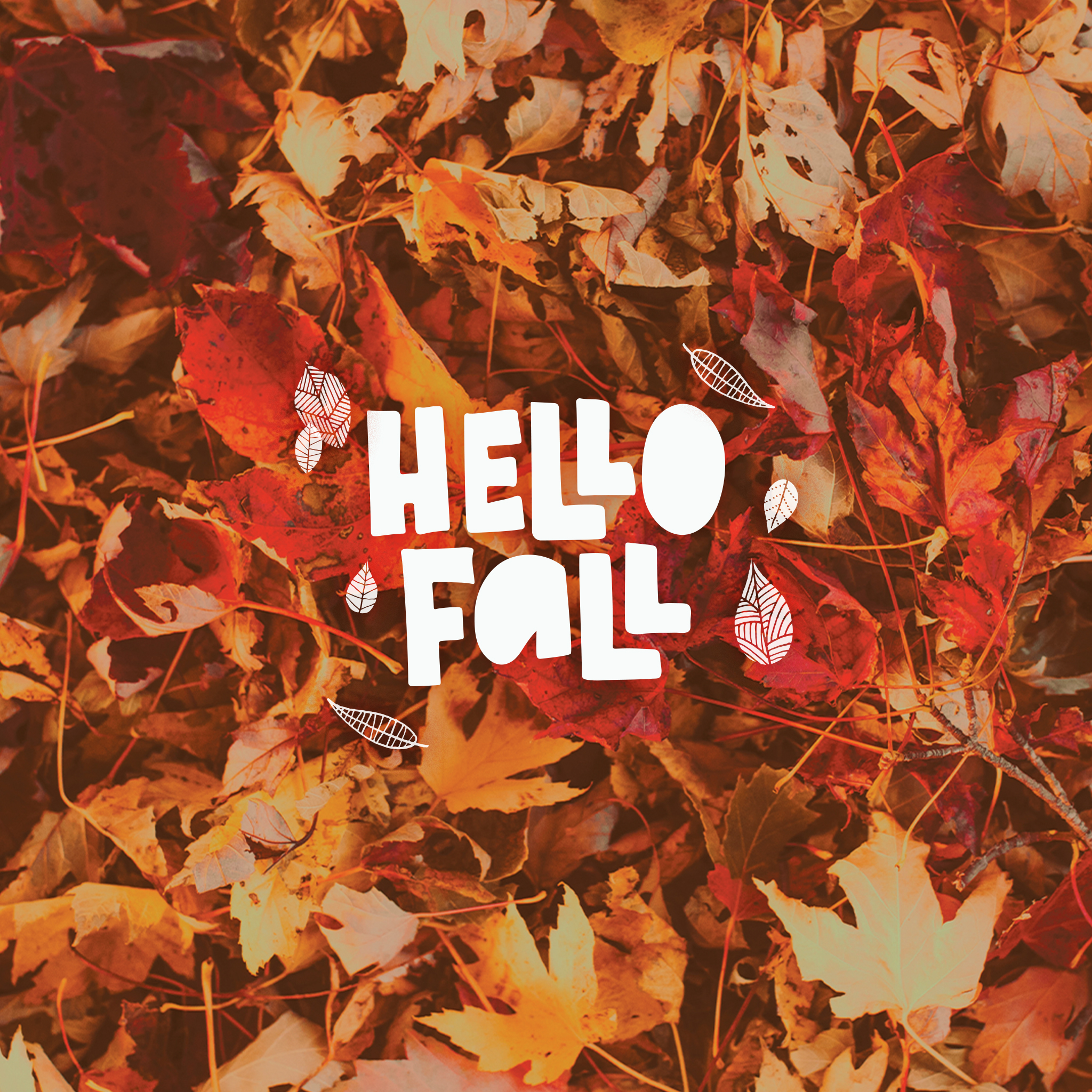 Free Fall Phone and Computer Background. L&S Marketing Blog
