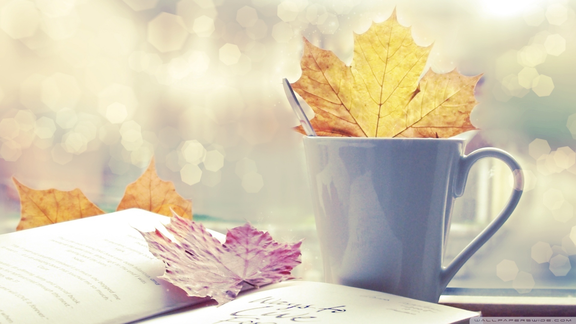 Autumn Time Ultra HD Desktop Background Wallpaper for 4K UHD TV, Tablet