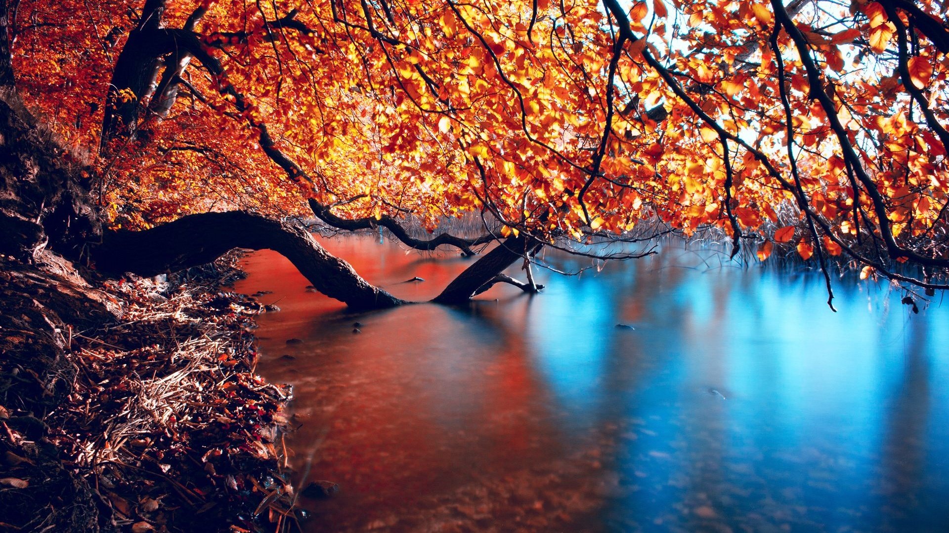 Autumn Reflection Desktop Wallpaper HD