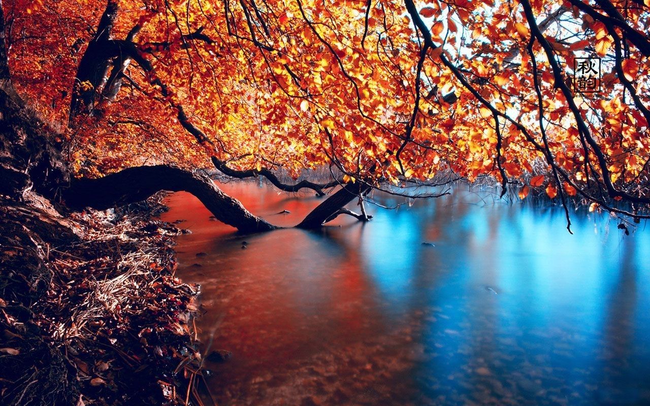 Best Seasonal Wallpaper For Desktop FULL HD 1920×1080 For PC Desktop. Autumn landscape, Autumn wallpaper hd, Autumn lake