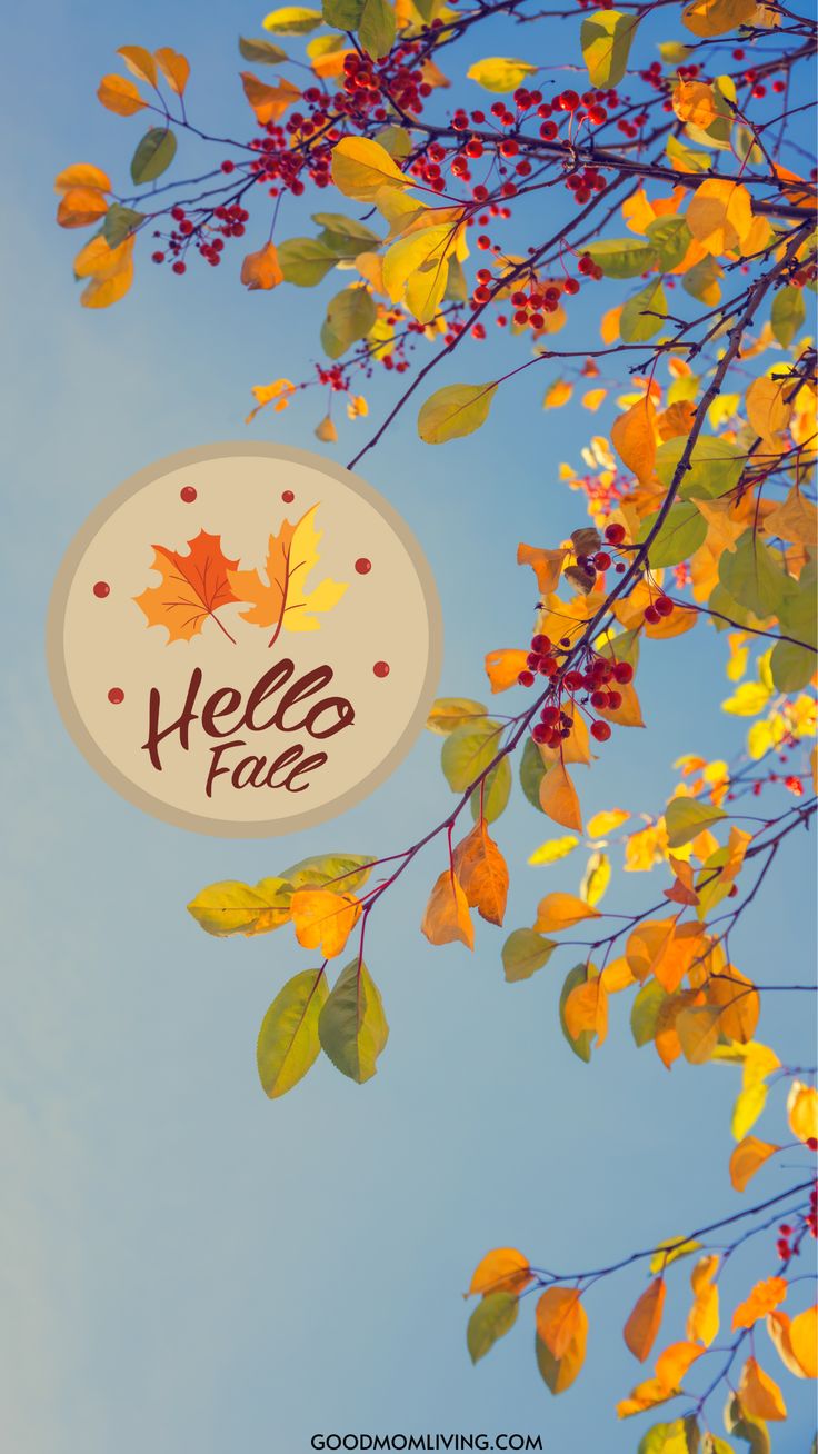 Free Cozy Fall Wallpaper Phone Background and Autumn Wallpaper. Fall wallpaper, Fall background iphone, Fall background wallpaper