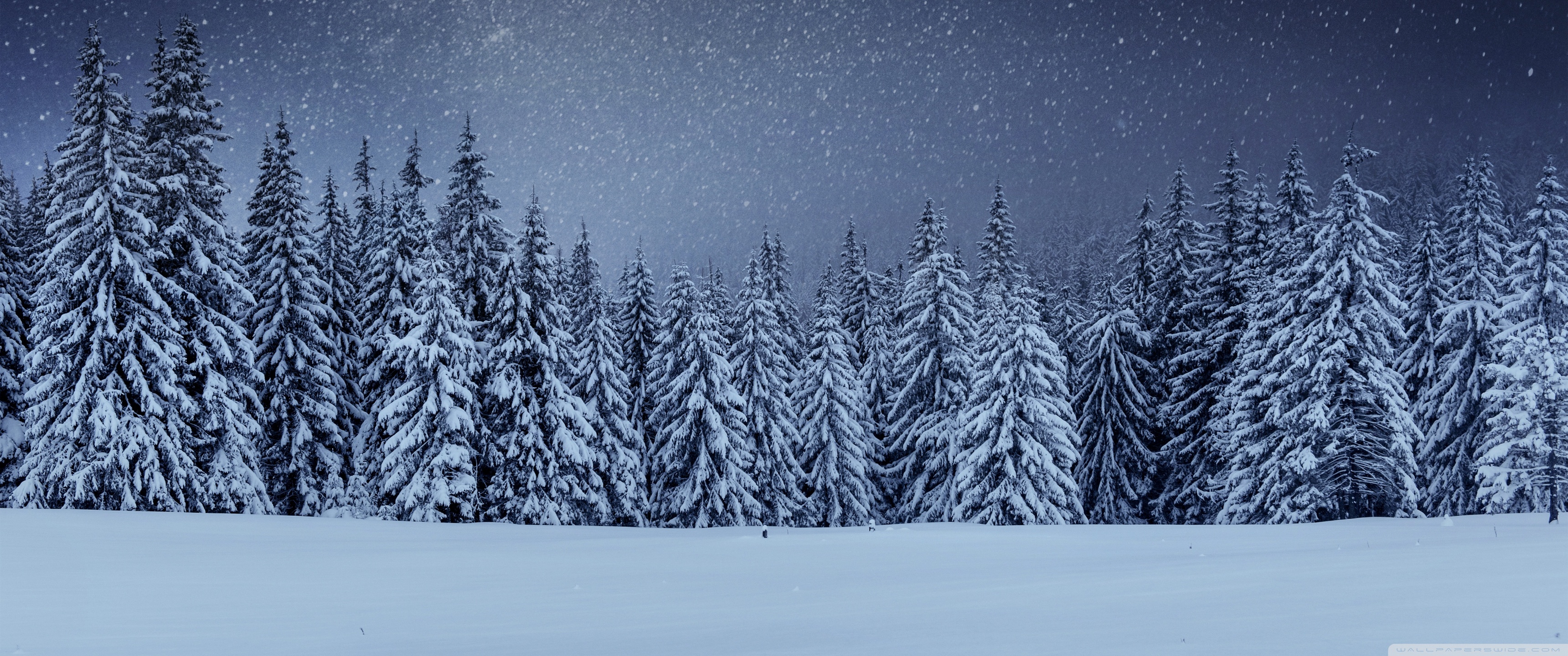 Ultra HD Desktop Background Wallpaper