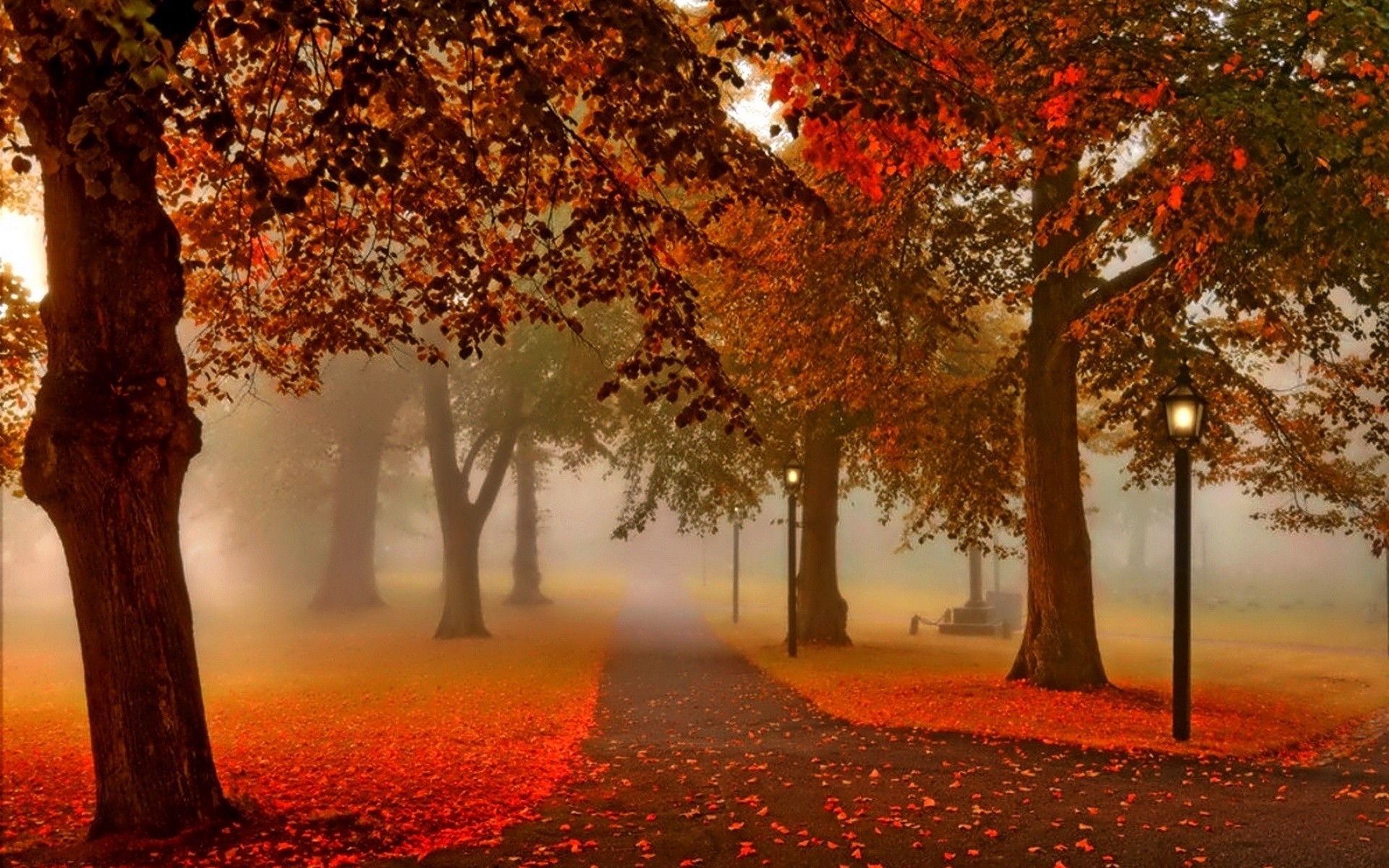 autumn path park foliage HD Wallpaper fog