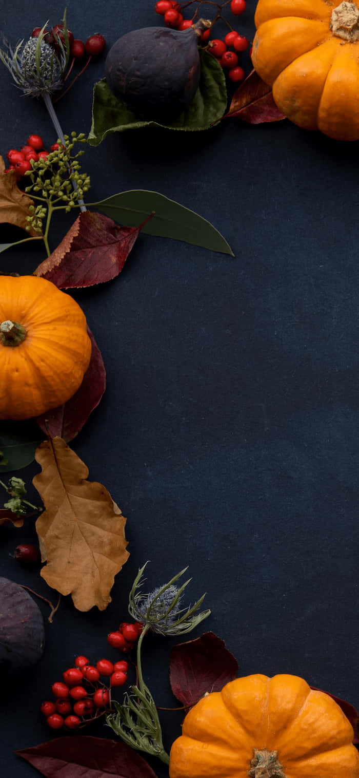 Download Celebrate Thanksgiving In Style With A Desktop Background Wallpaper